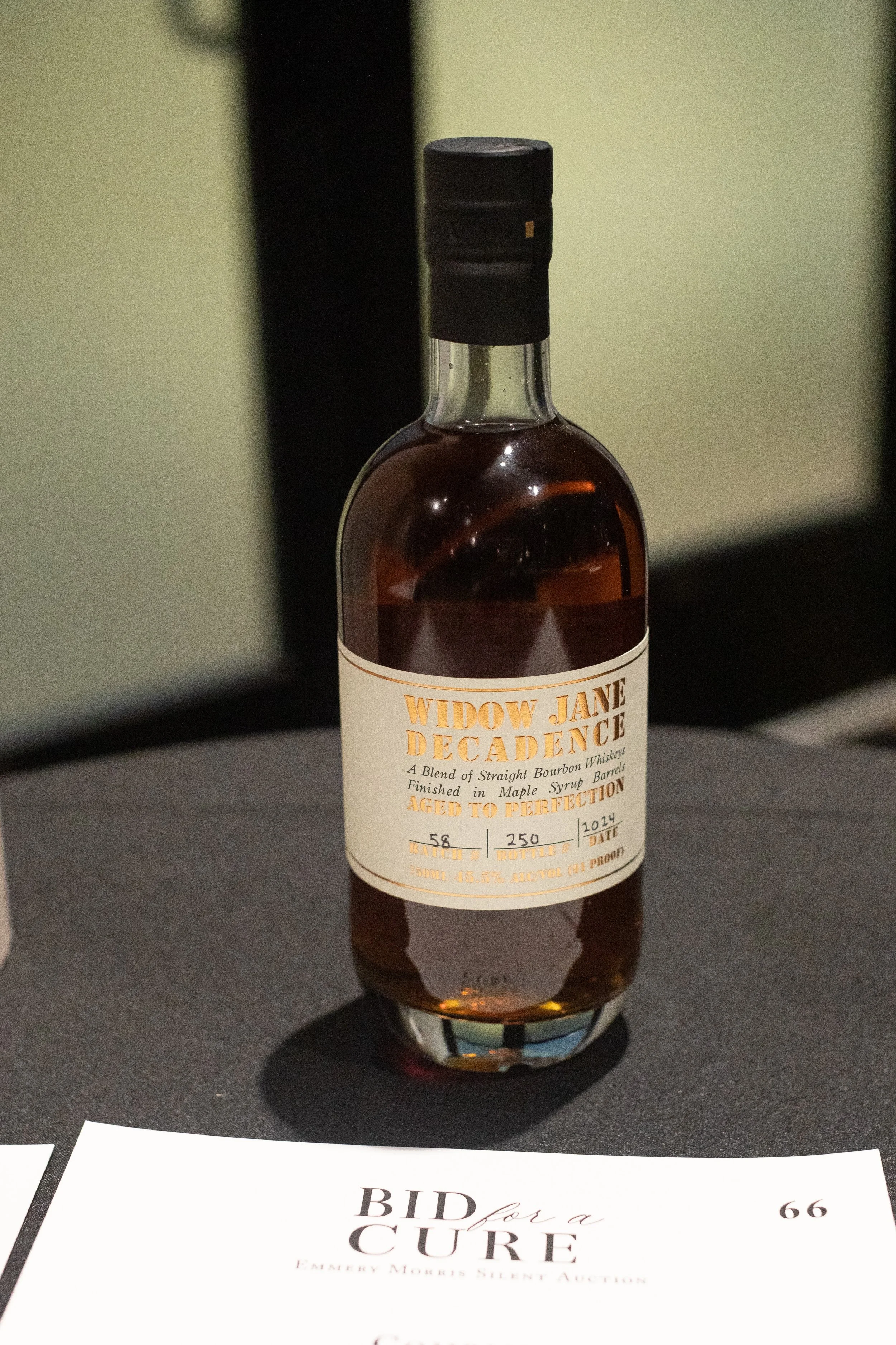 Bid For A Cure 2025-94.jpeg