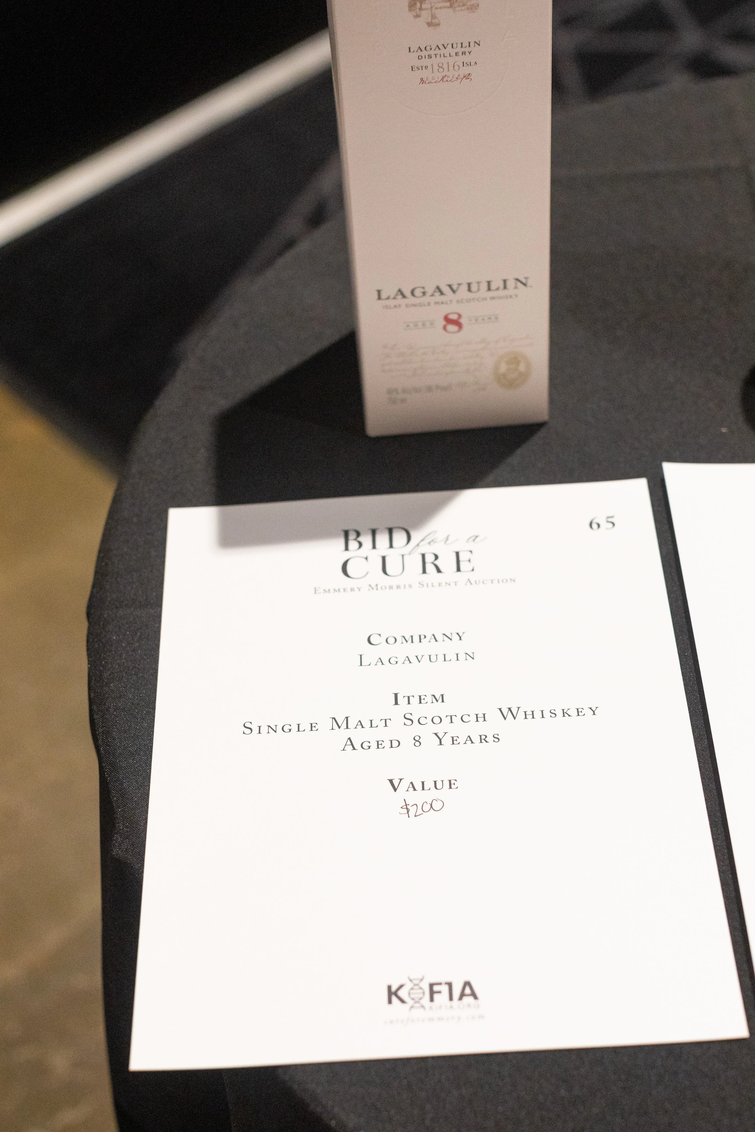 Bid For A Cure 2025-91.jpeg