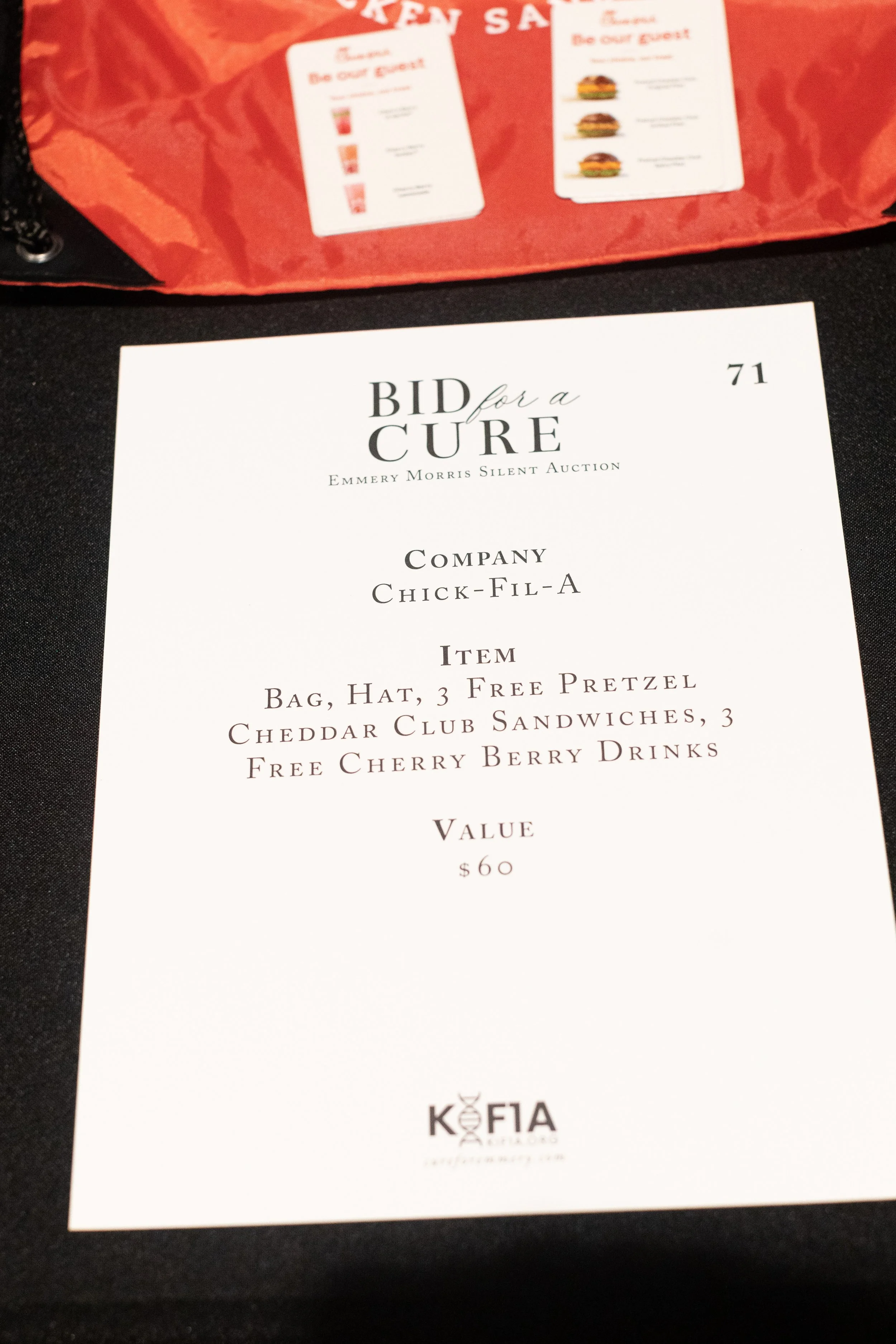 Bid For A Cure 2025-101.jpeg