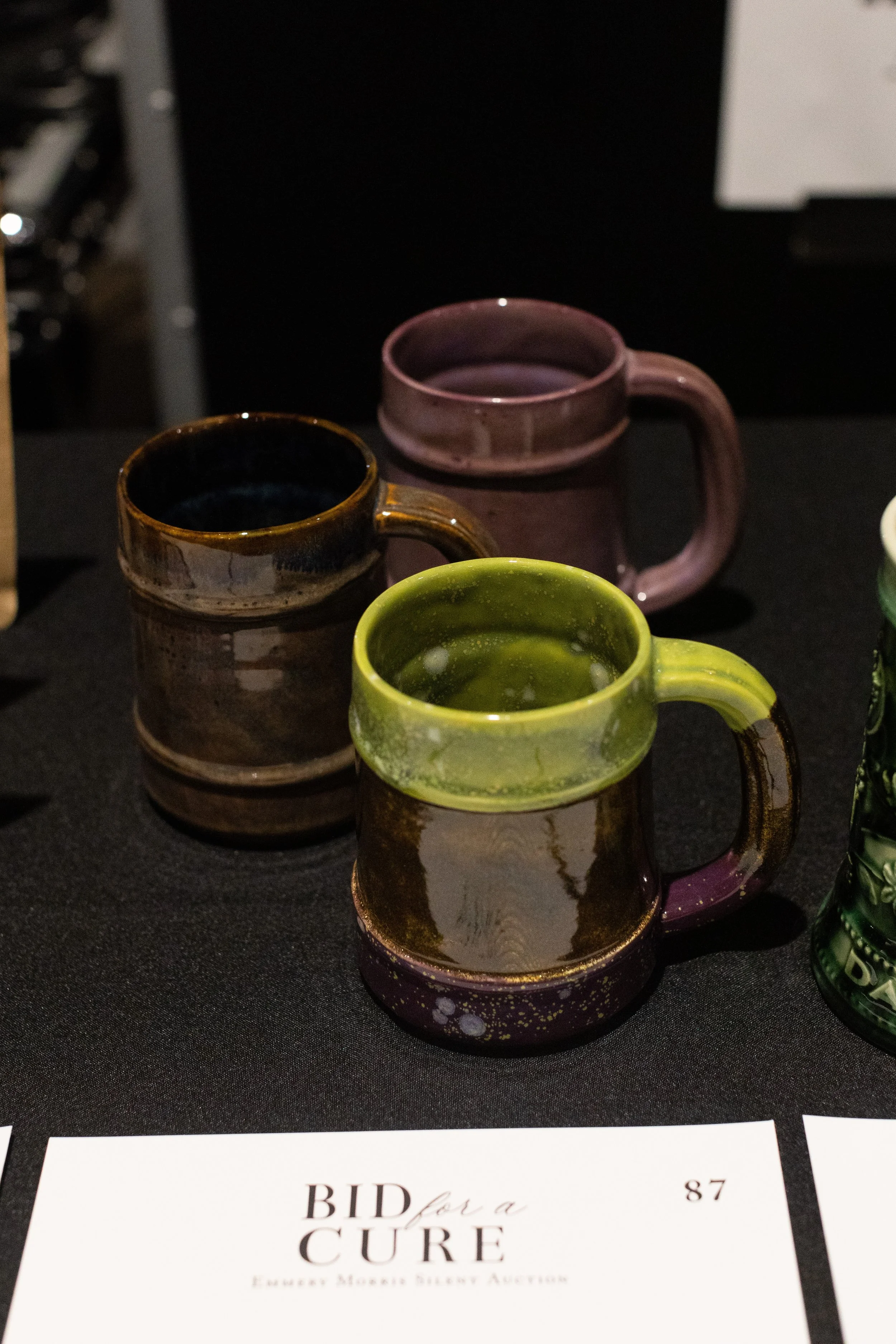 Bid For A Cure 2025-126.jpeg