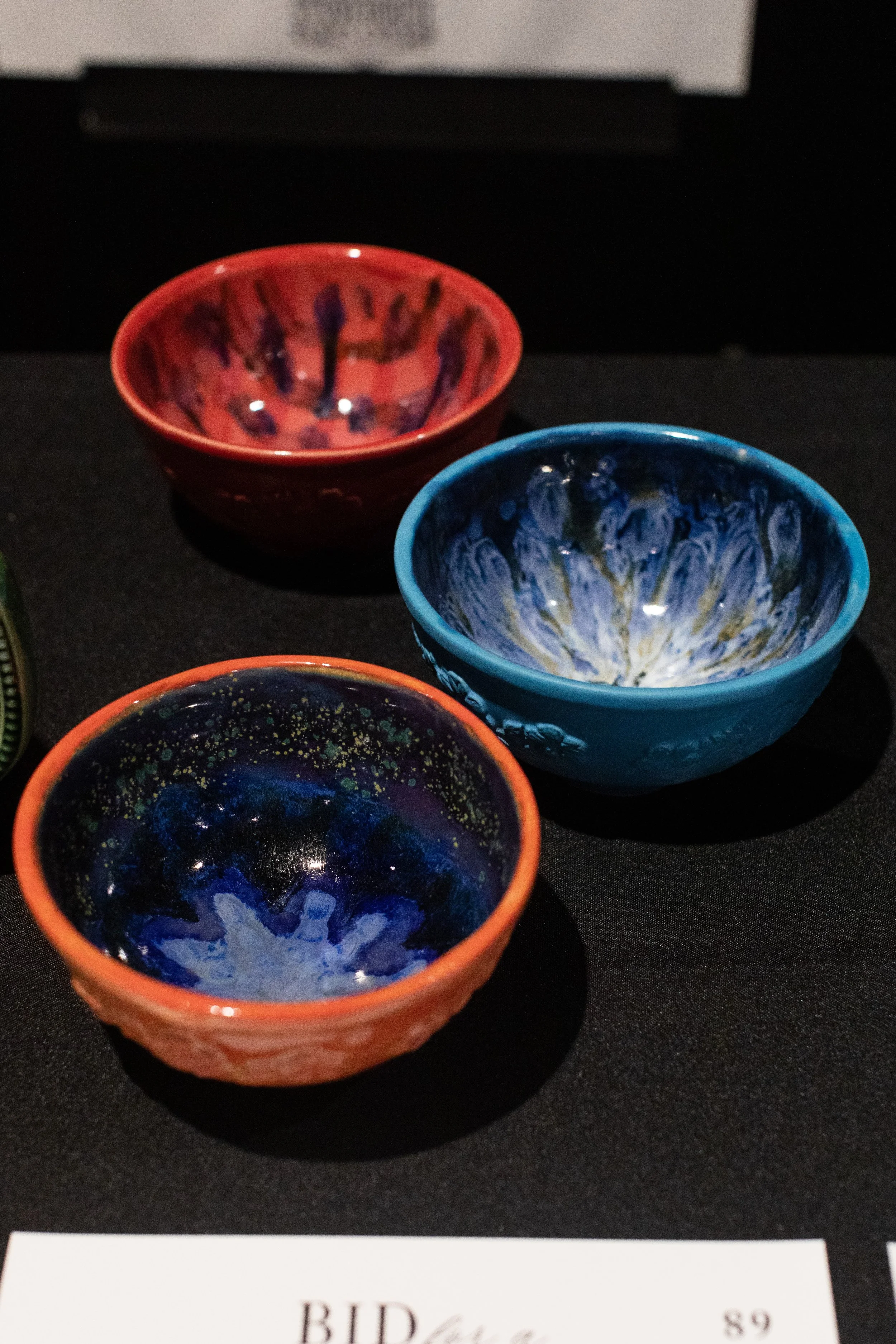 Bid For A Cure 2025-130.jpeg