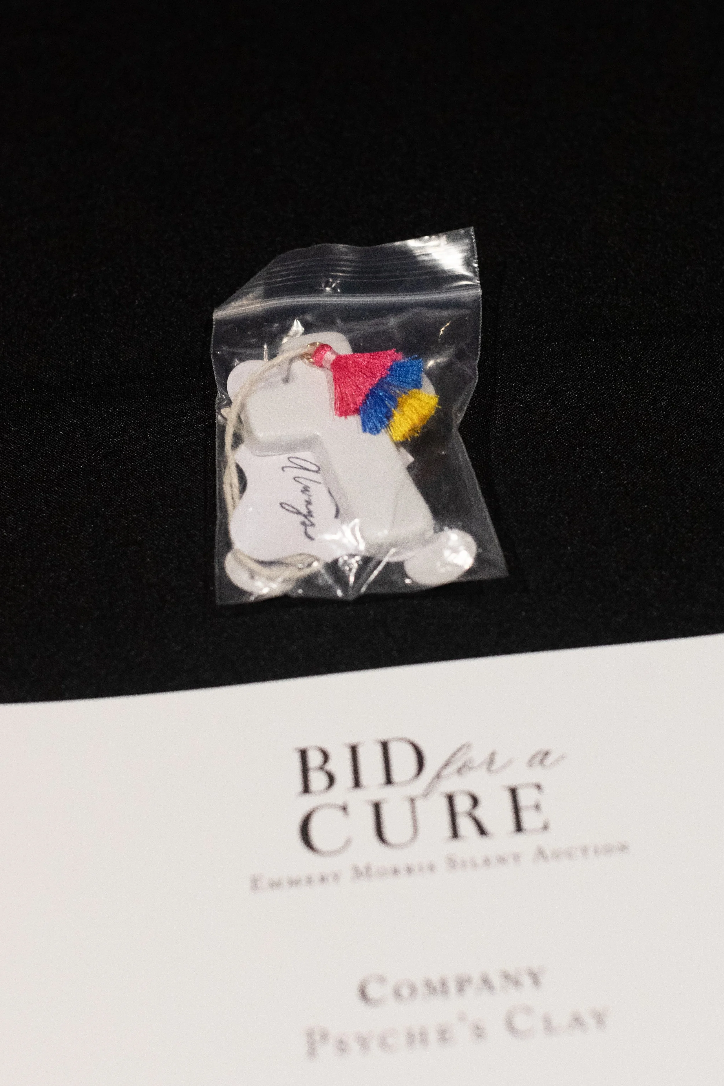 Bid For A Cure 2025-140.jpeg