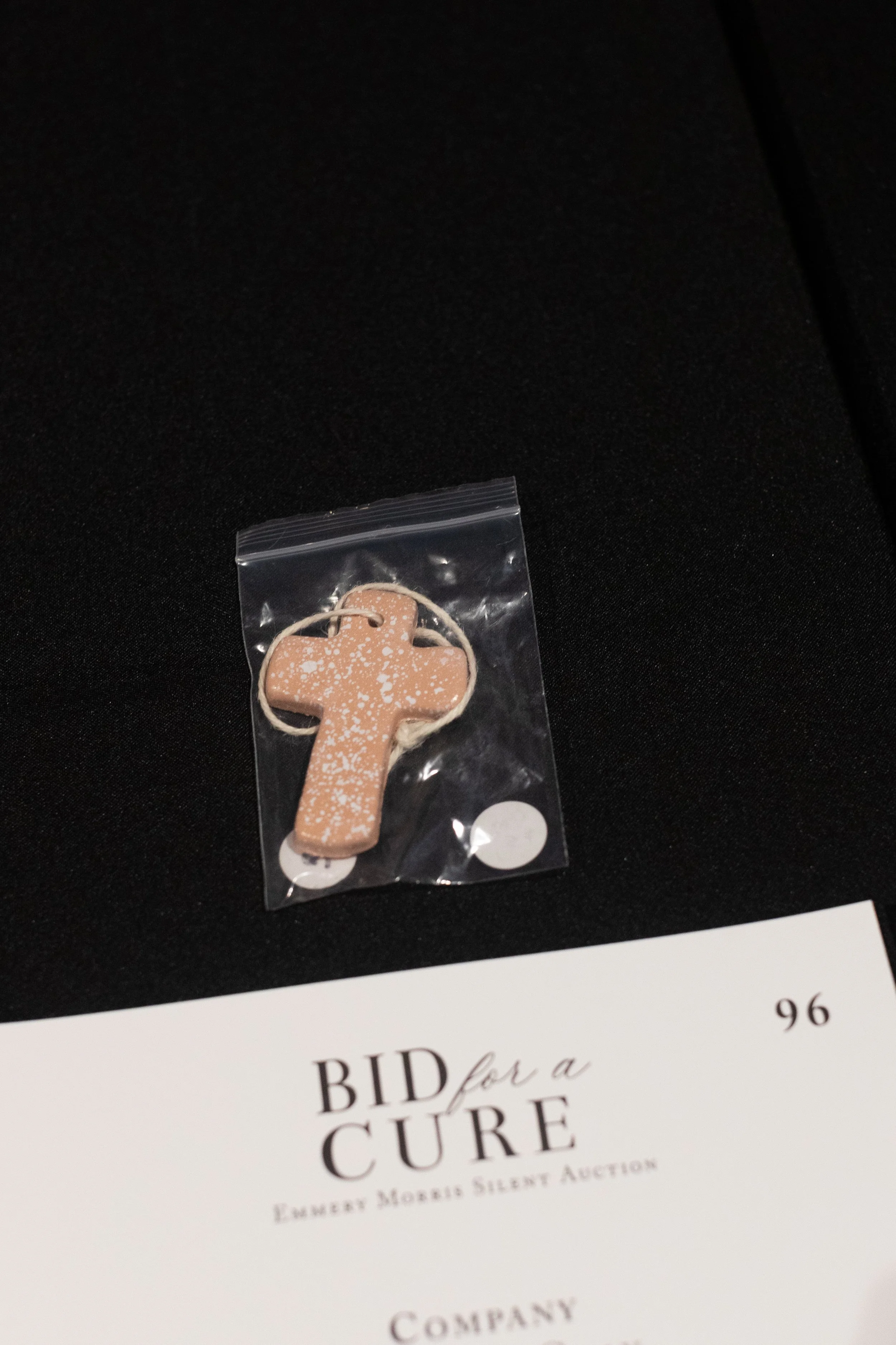 Bid For A Cure 2025-144.jpeg