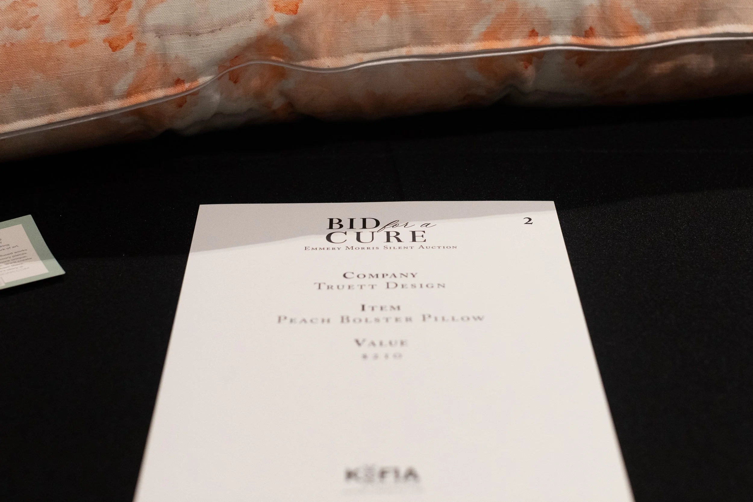 Bid For A Cure 2025-188.jpeg