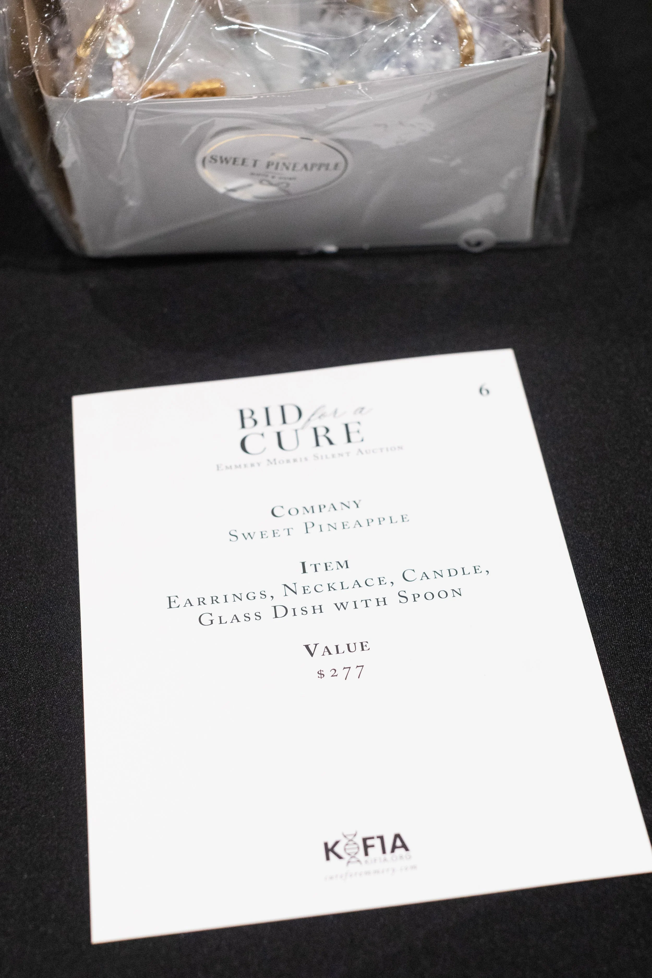 Bid For A Cure 2025-195.jpeg