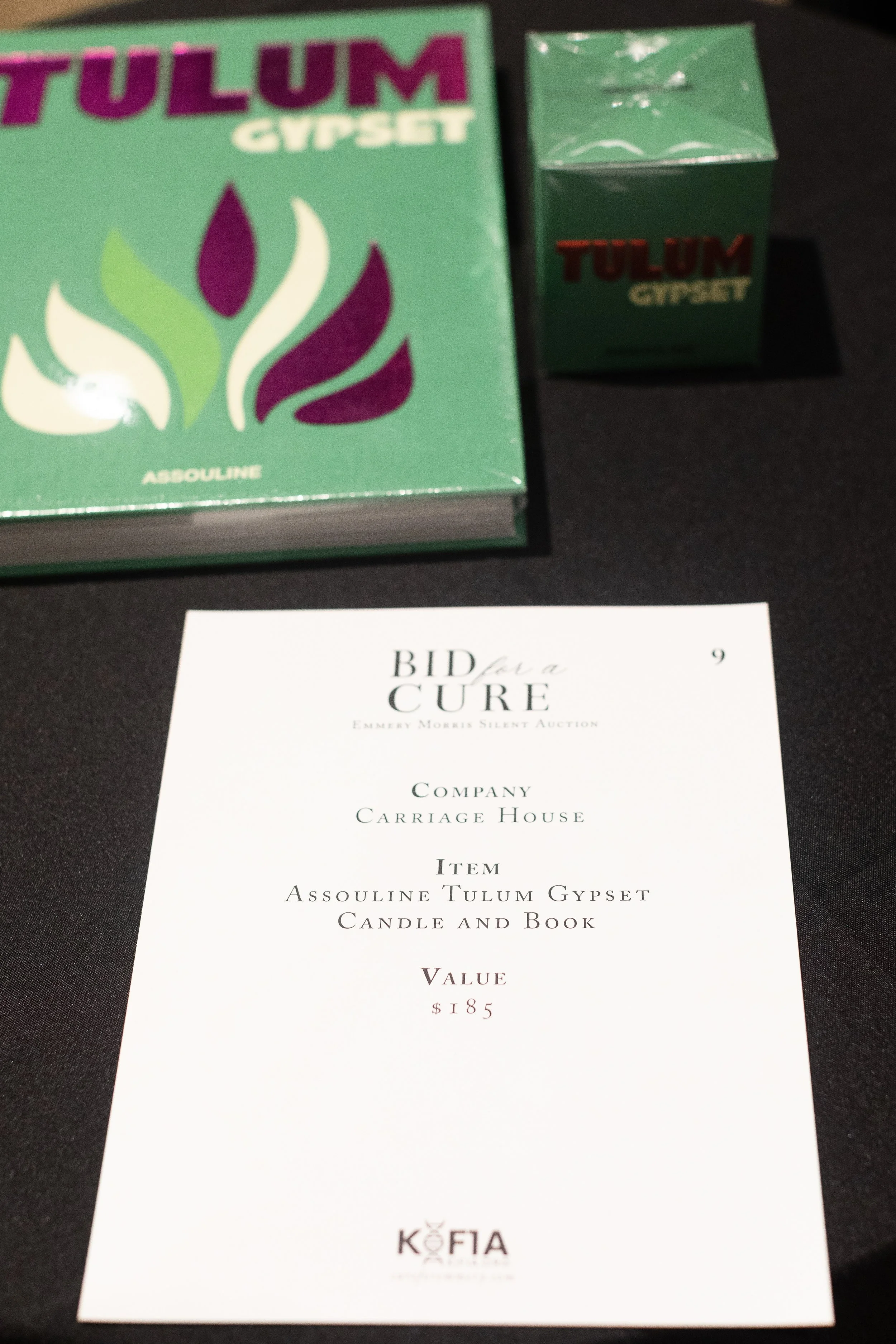 Bid For A Cure 2025-201.jpeg