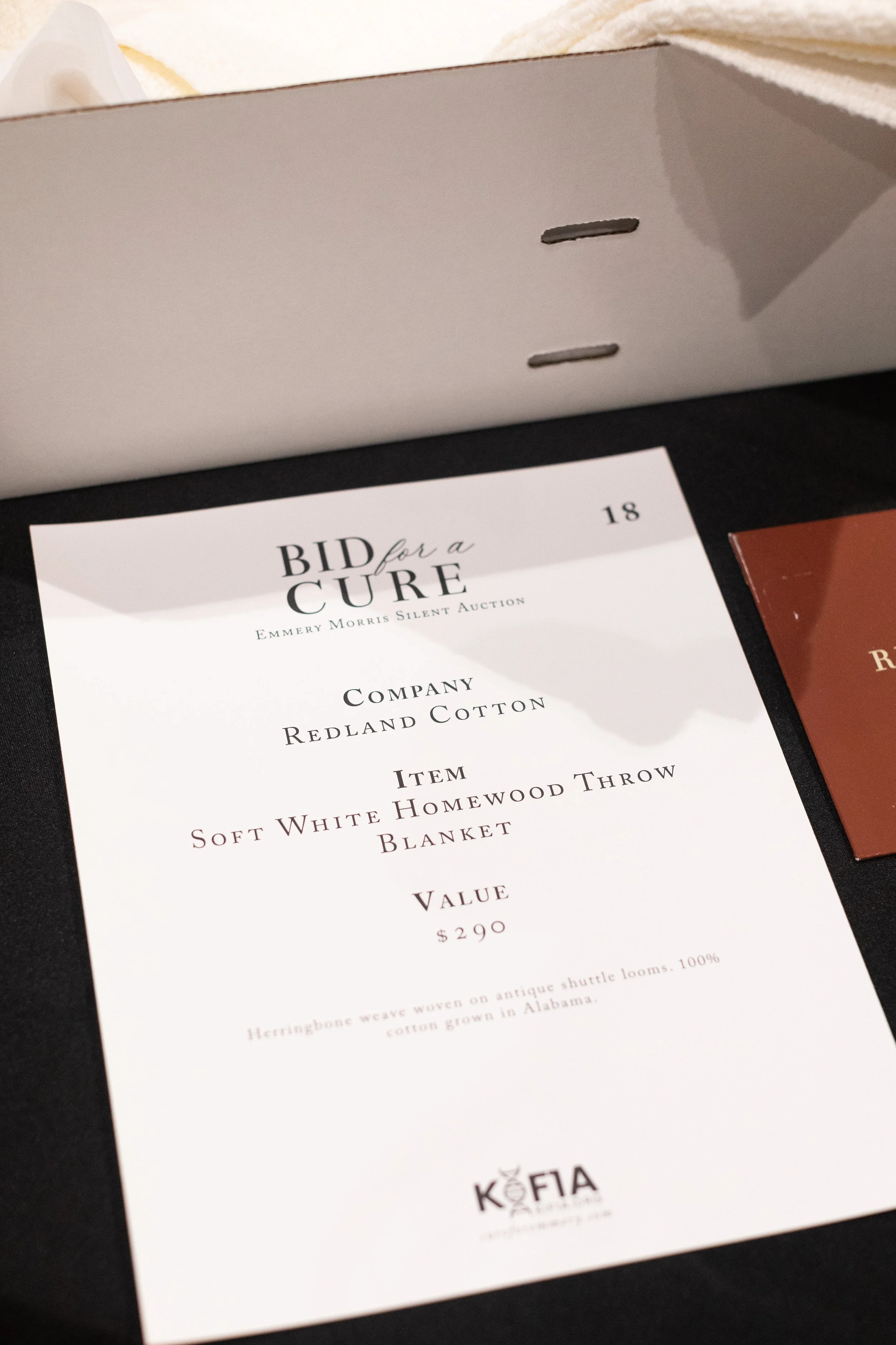 Bid For A Cure 2025-221.jpeg