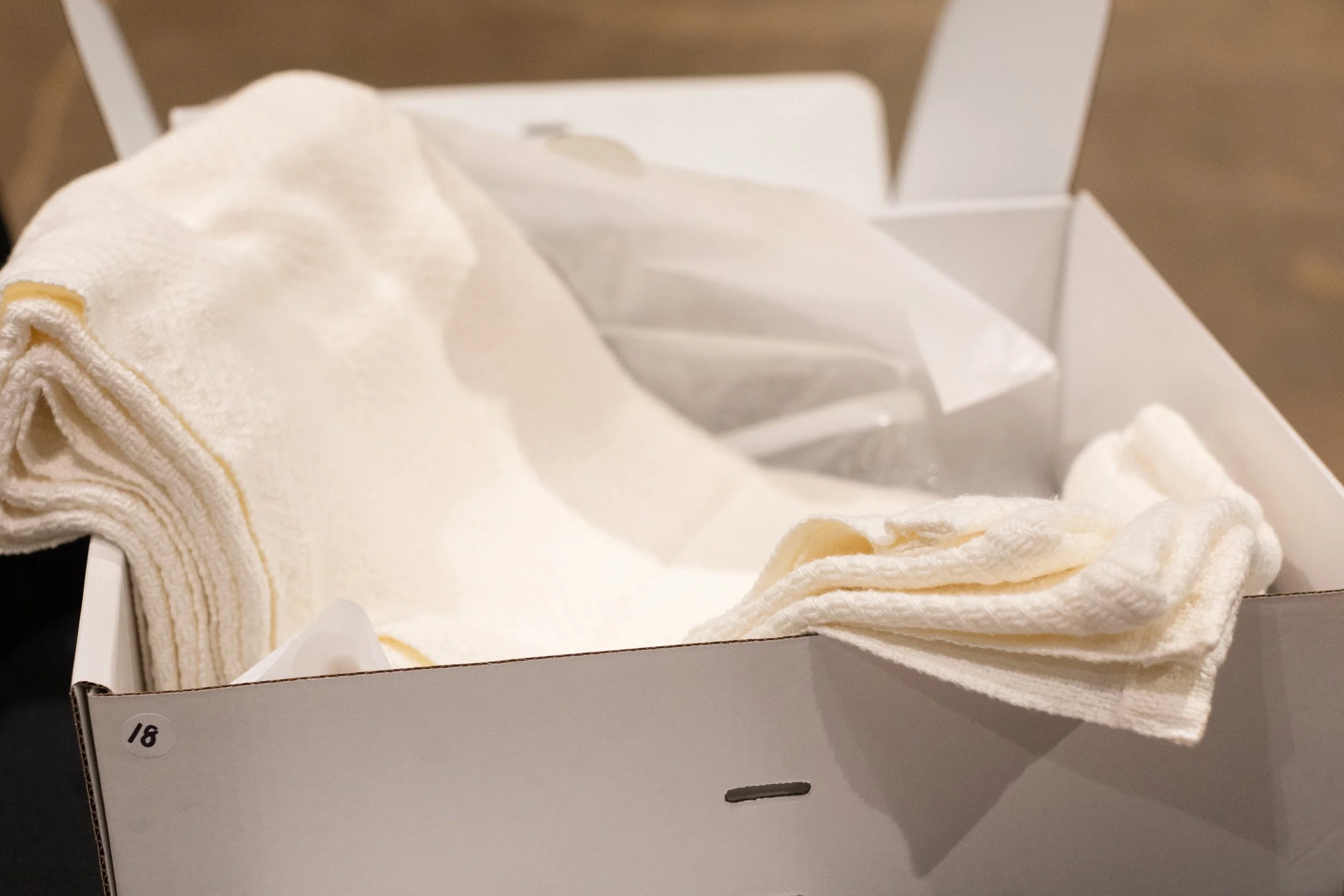 Bid For A Cure 2025-222.jpeg