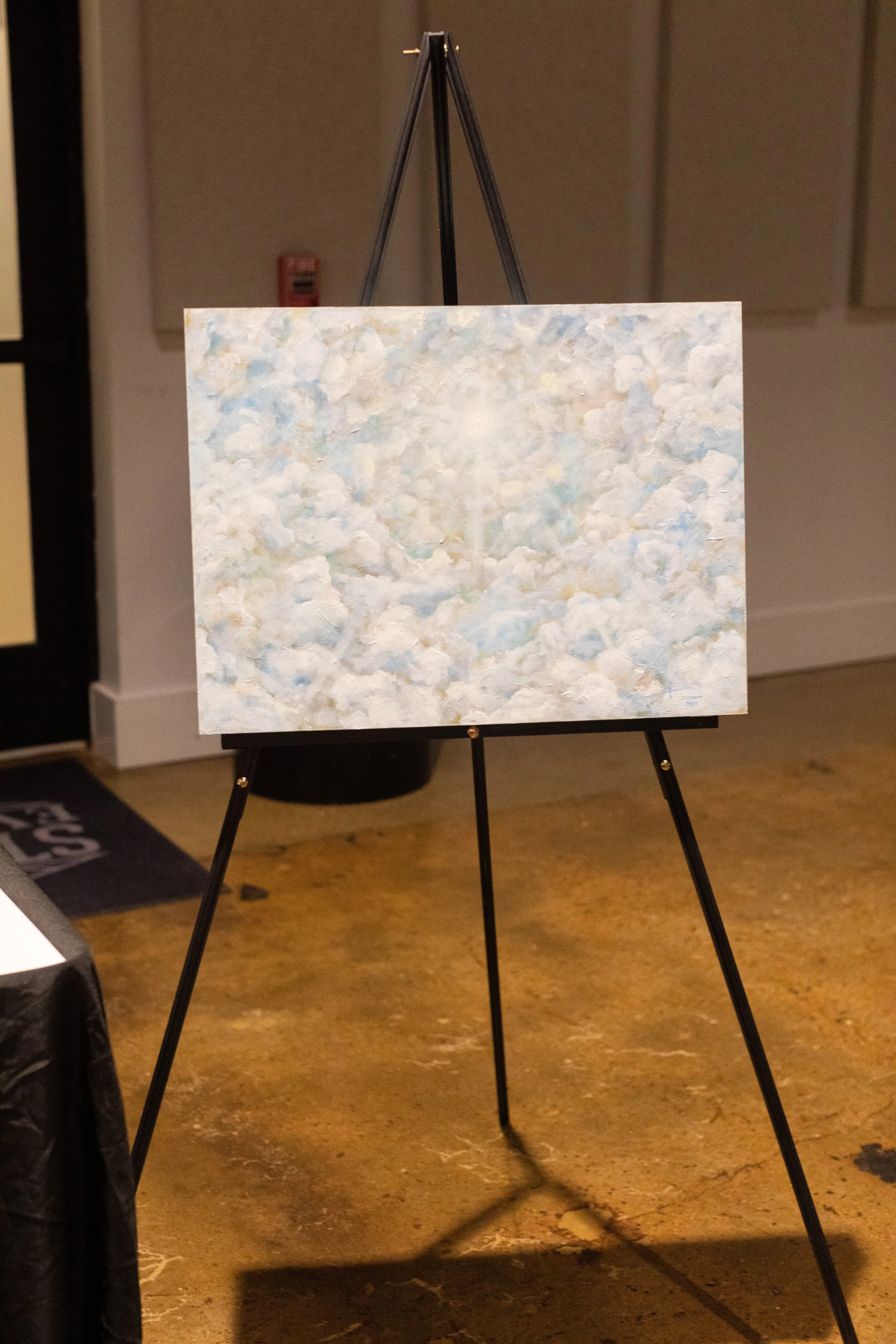 Bid For A Cure 2025-295.jpeg