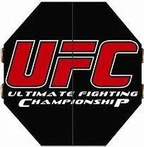 UFC Fights