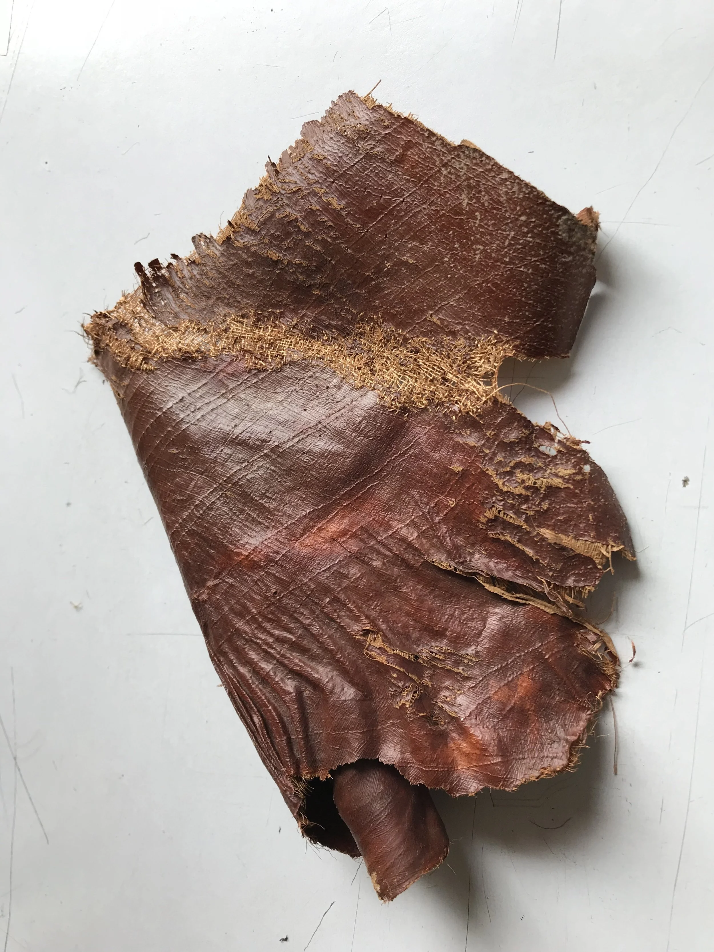 Palm bark, stitch swarm