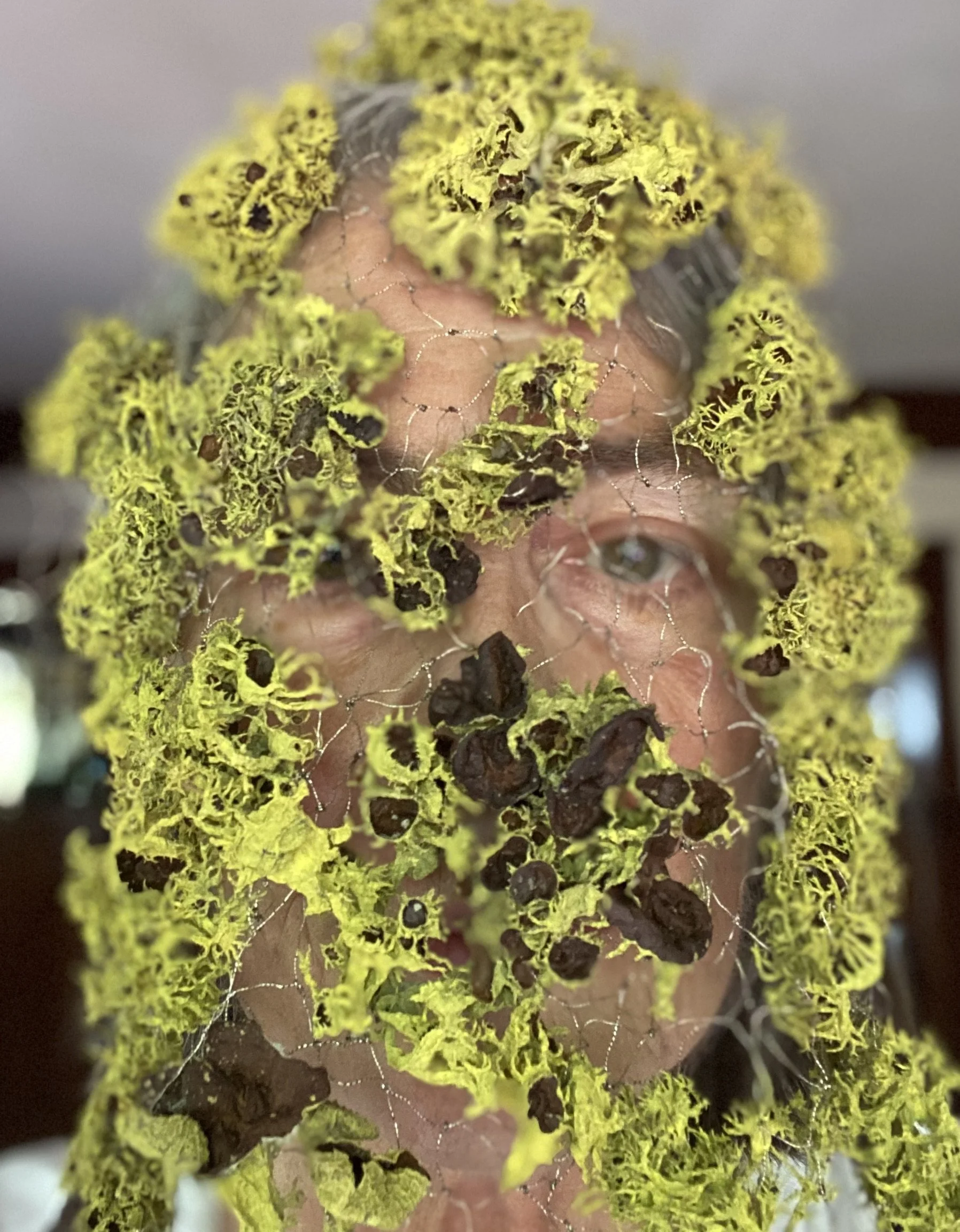 Wolf Lichen Veil