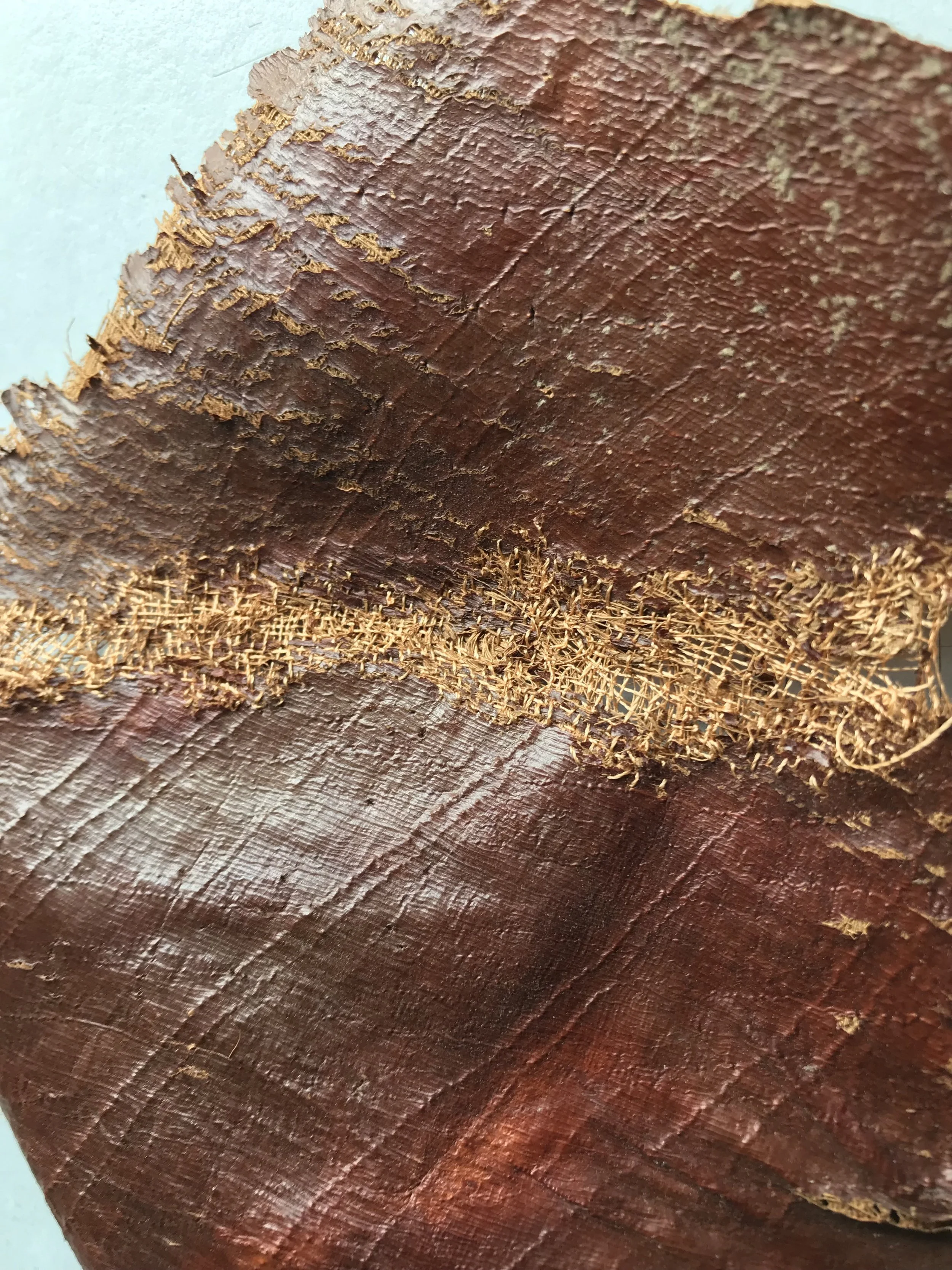 Palm bark , stitch swarm (detail)