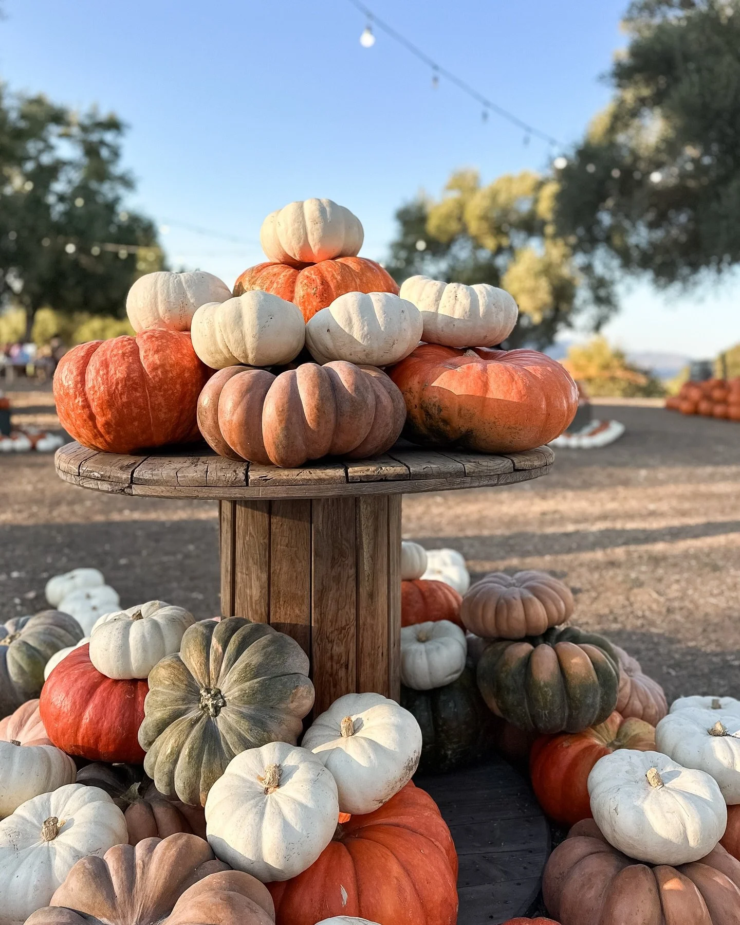 Hello October, so happy you&rsquo;re here! 🍂🎃✨