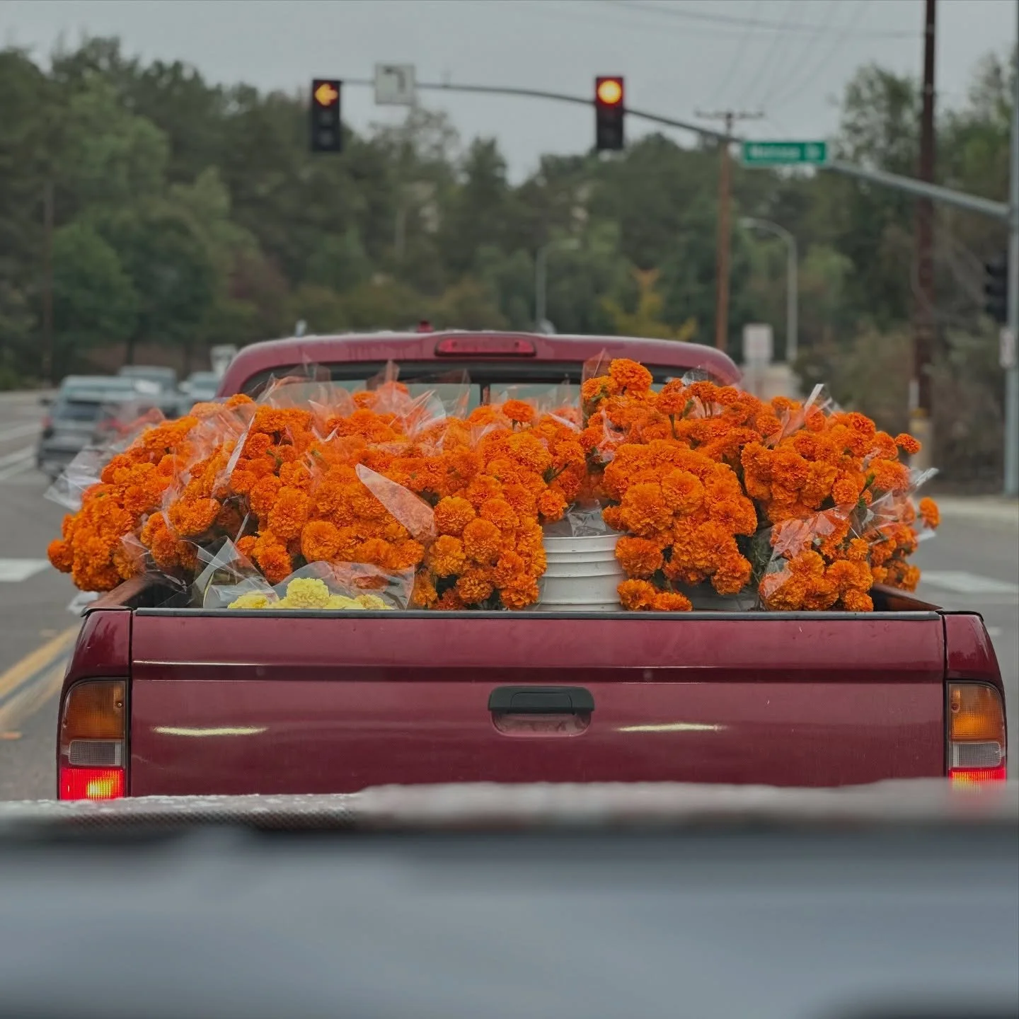 This made me smile. Happy Halloween! 🎃