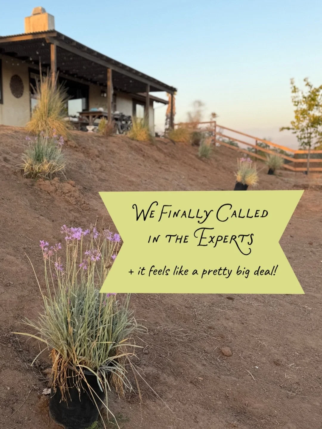 Big day over here! We&rsquo;ve called in some help (which we rarely do) to tackle this hillside landscaping. 🏳️ 

We&rsquo;ve had a vision, we&rsquo;ve tried to tackle it ourselves, and it quickly goes from exciting to overwhelming. Have you been th