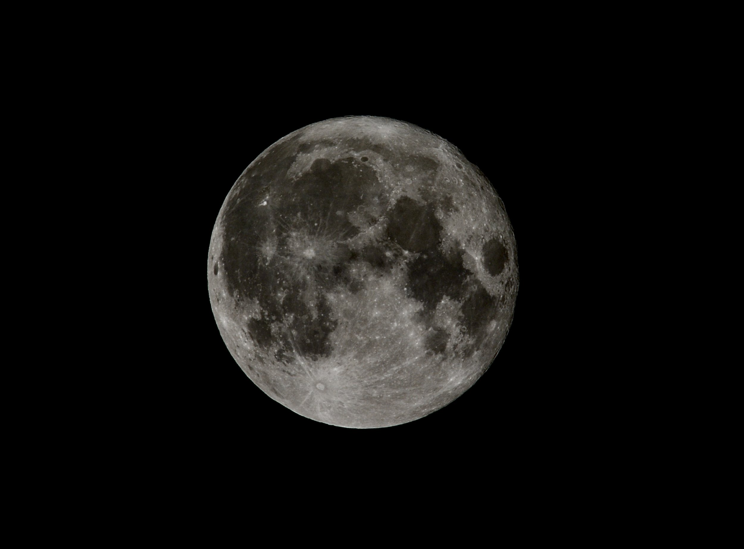 DSC_7856.jpeg