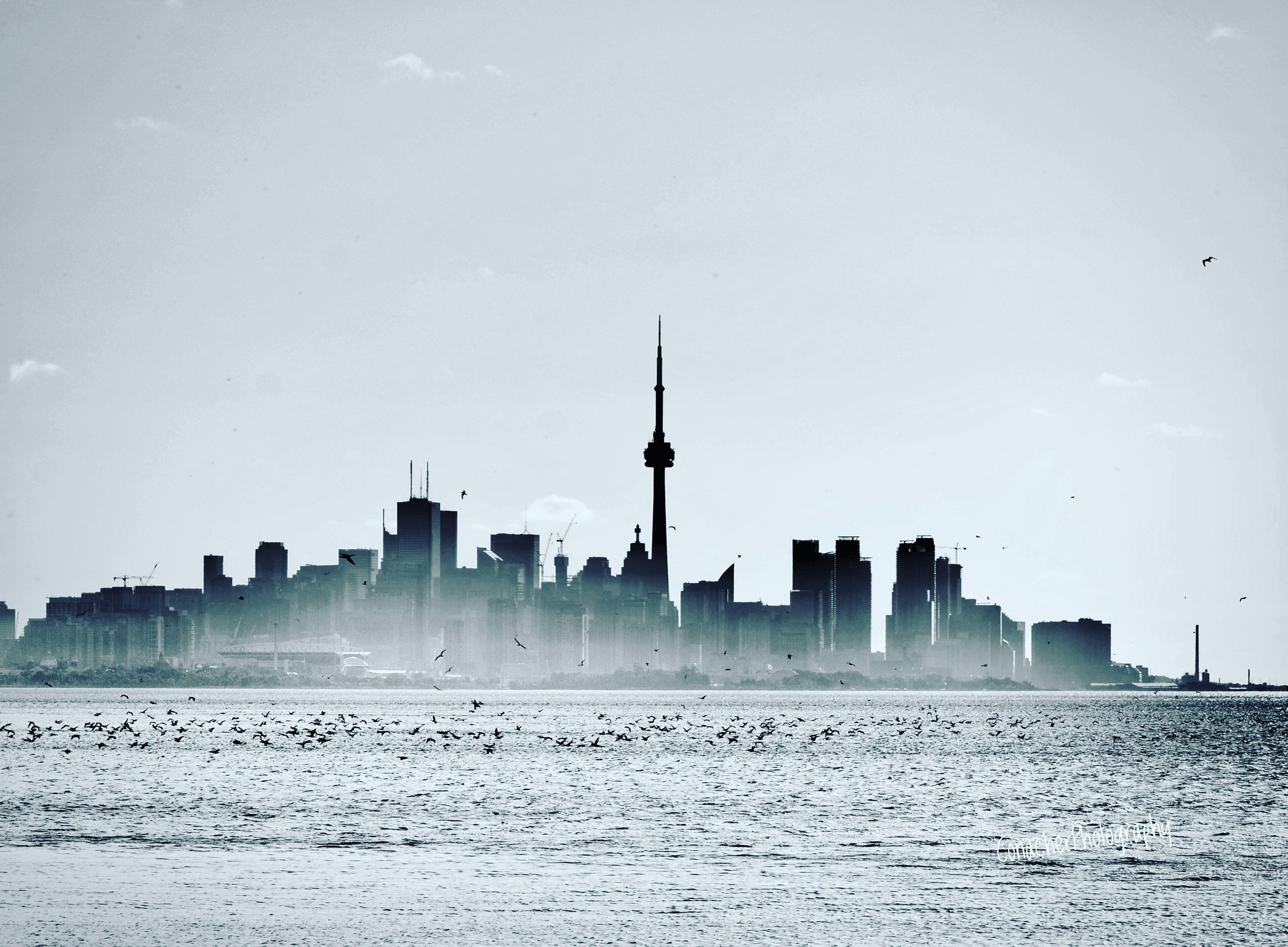 87563ED0-1E87-473C-992B-1AFF749D674C.jpeg