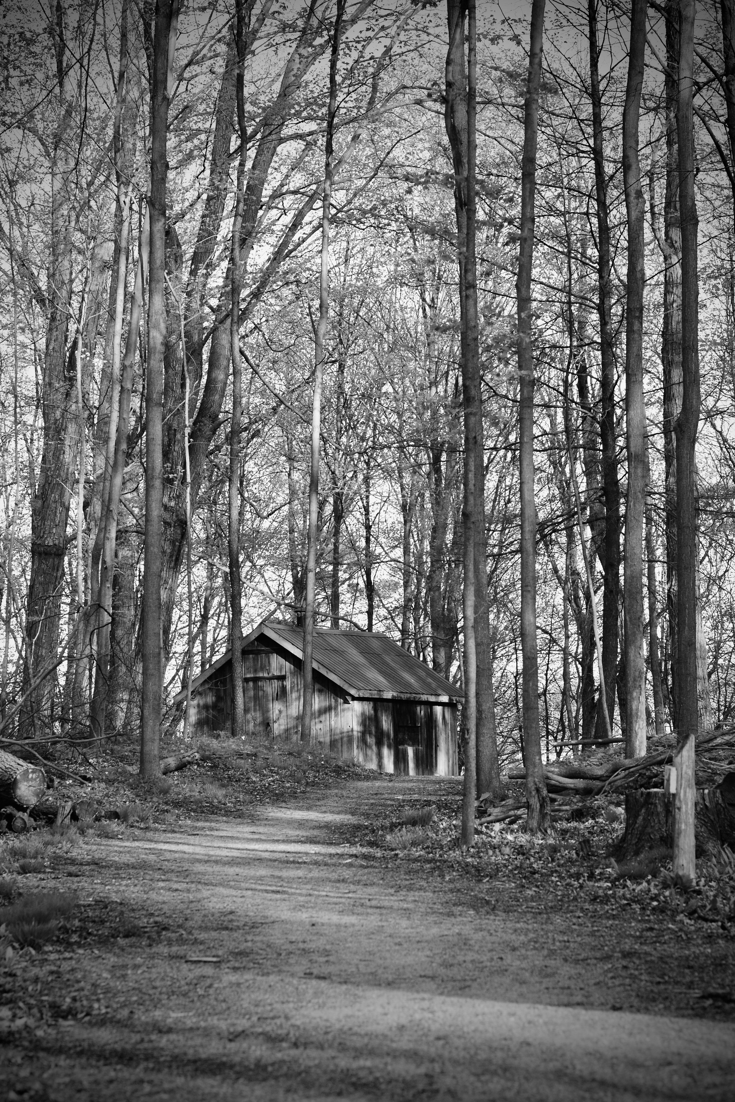 DSC_5308.jpeg
