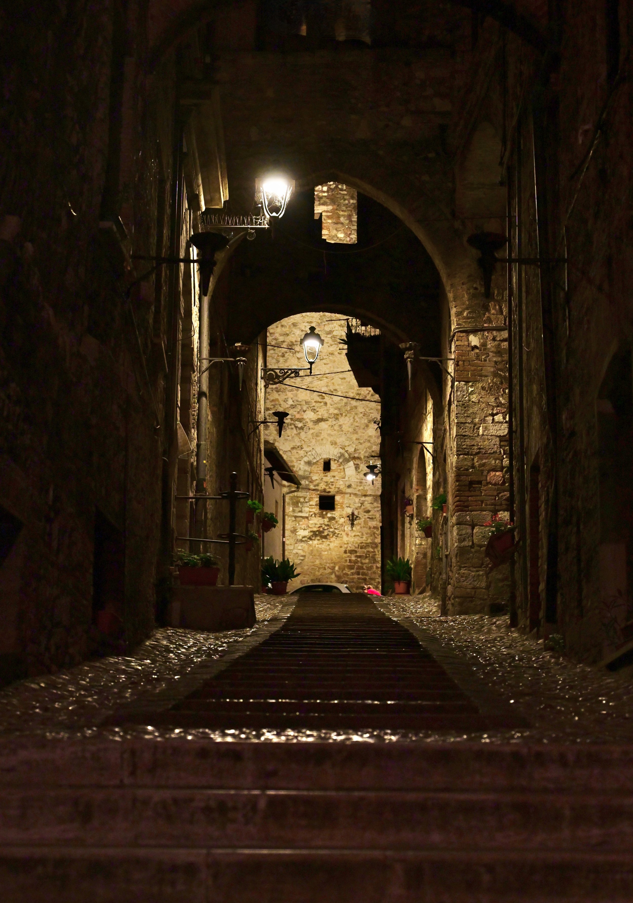 Faded Light, Endless Charm