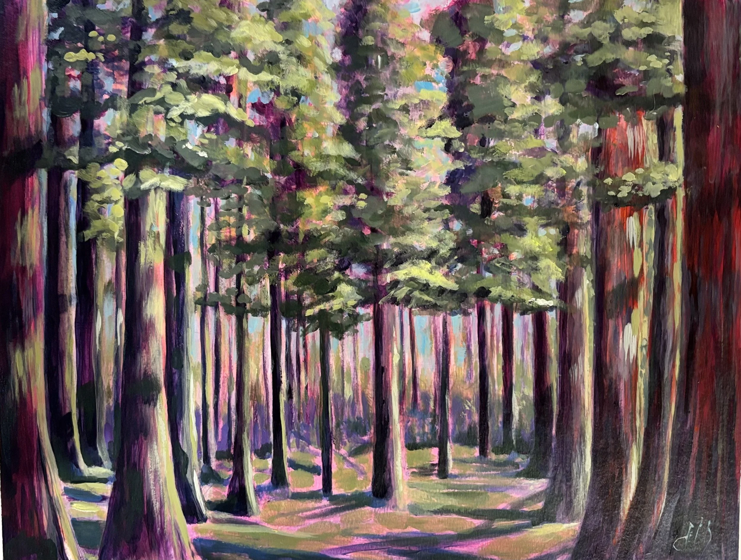 Forest for the Trees.jpeg