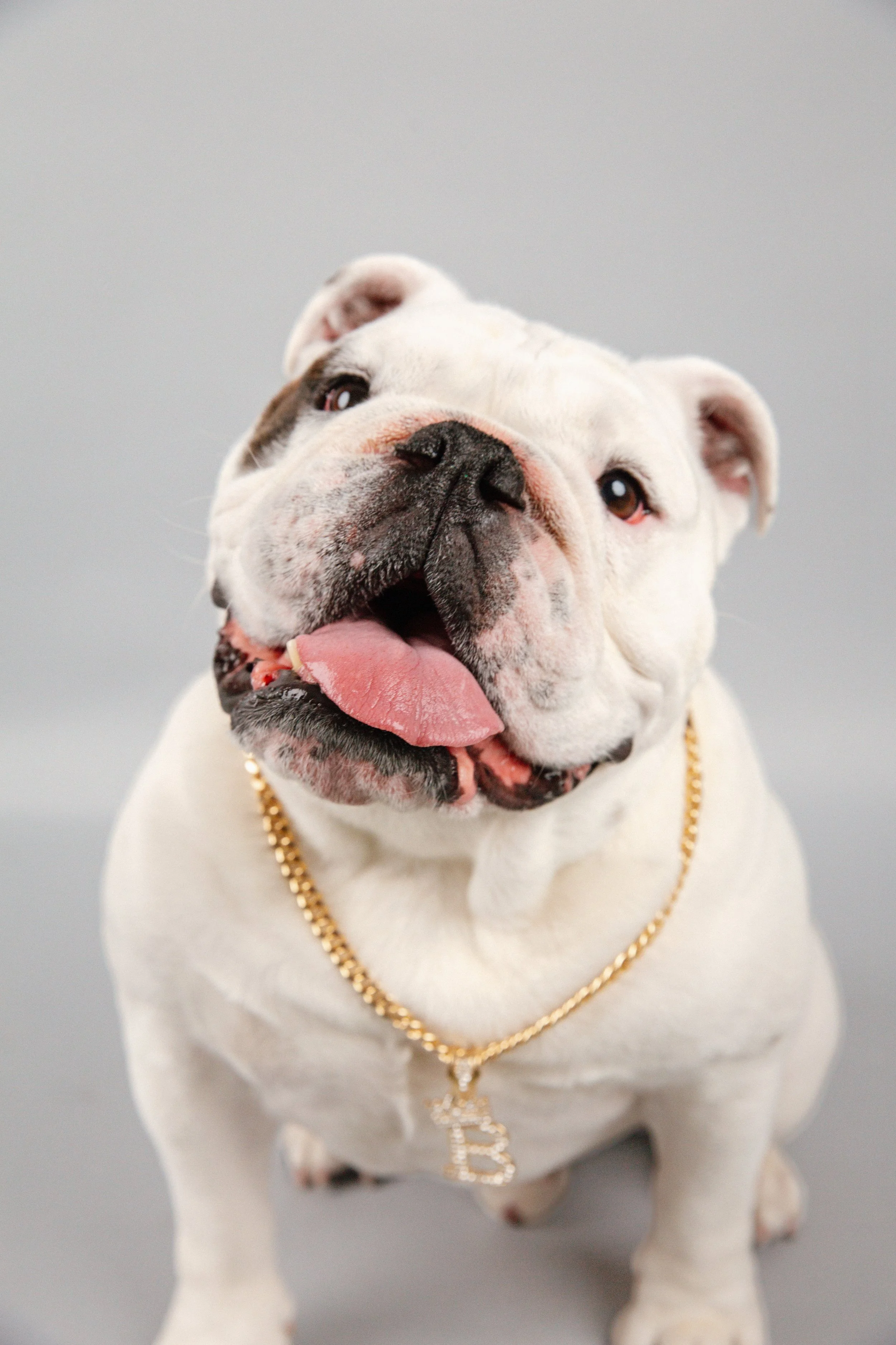 8U3A1490-grey-chain.jpg