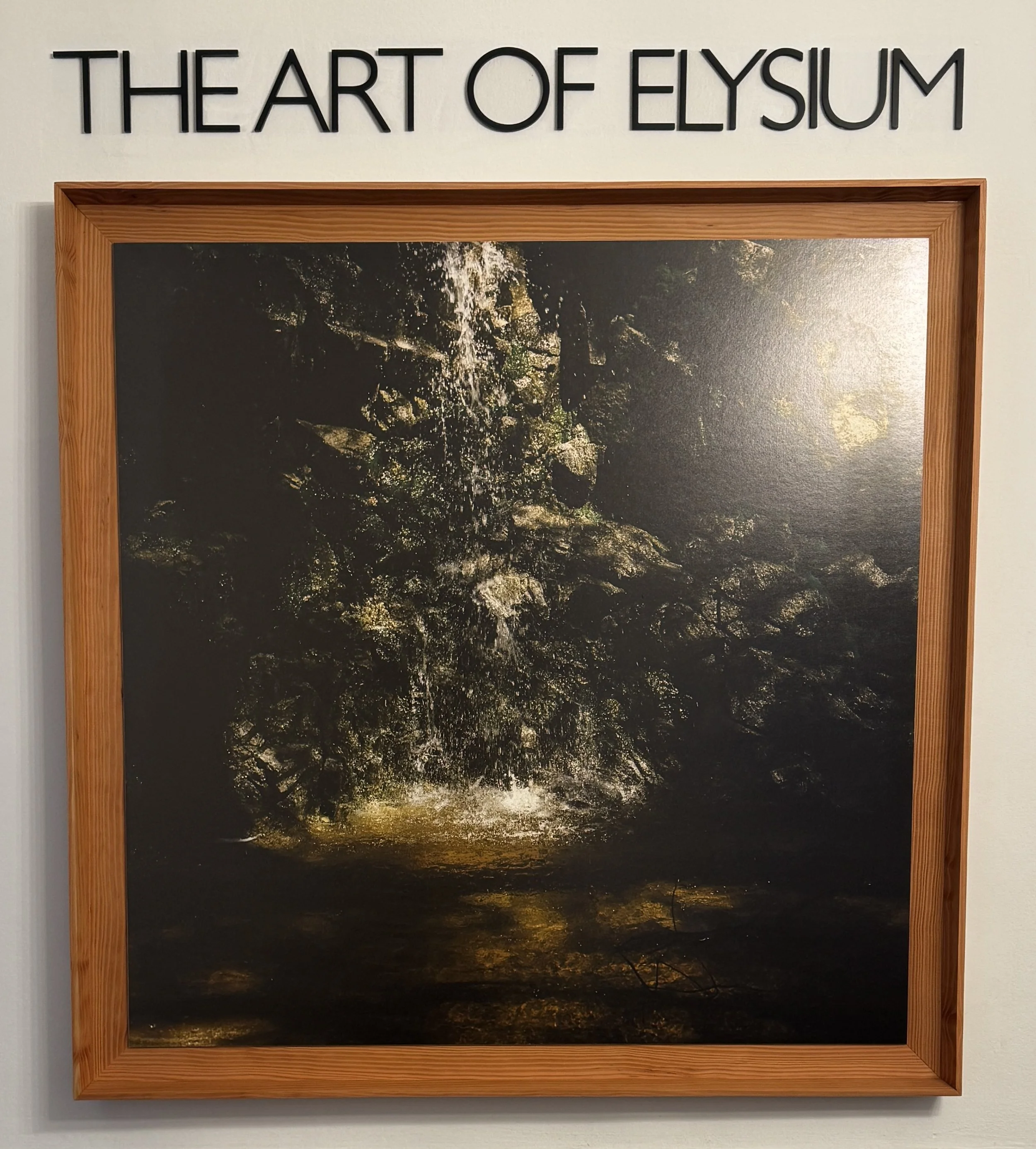 The People's Artist The Art of Elysium
