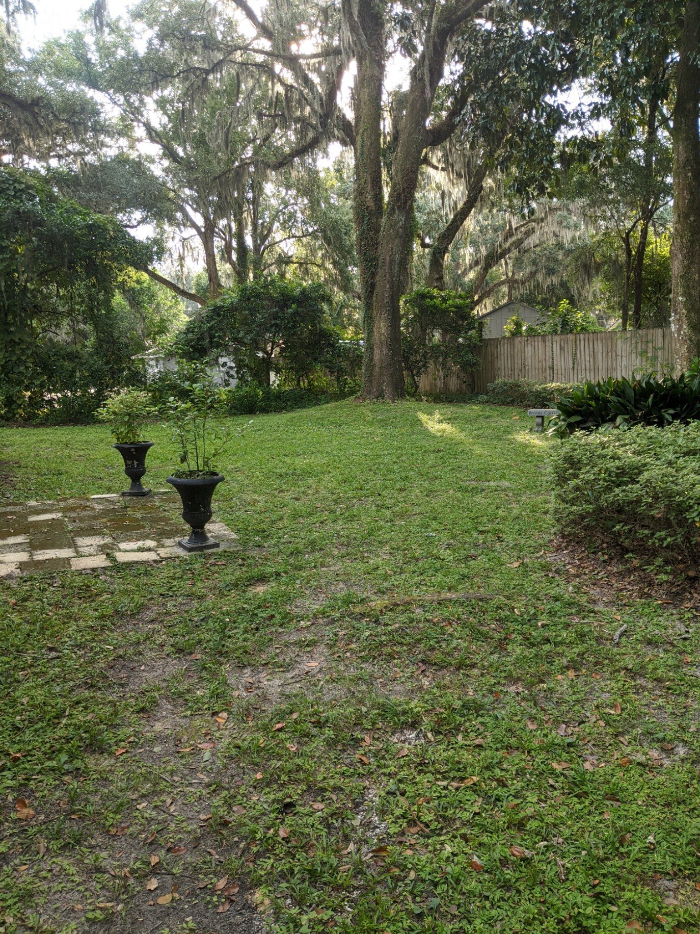 image000000 (1).jpg