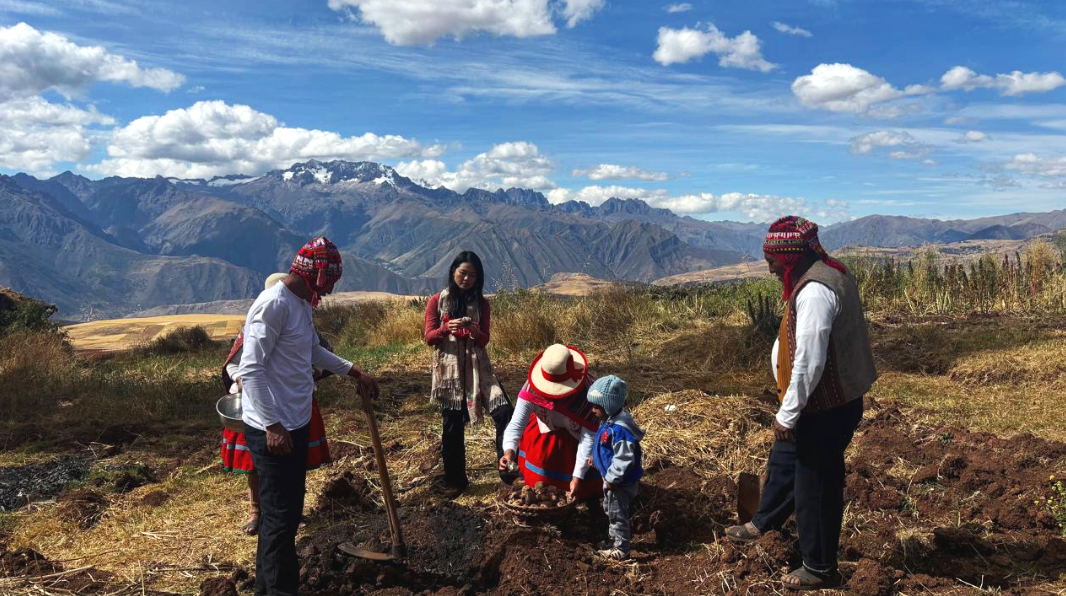 People planting a tree in a mountainous field under a partly cloudy sky.
