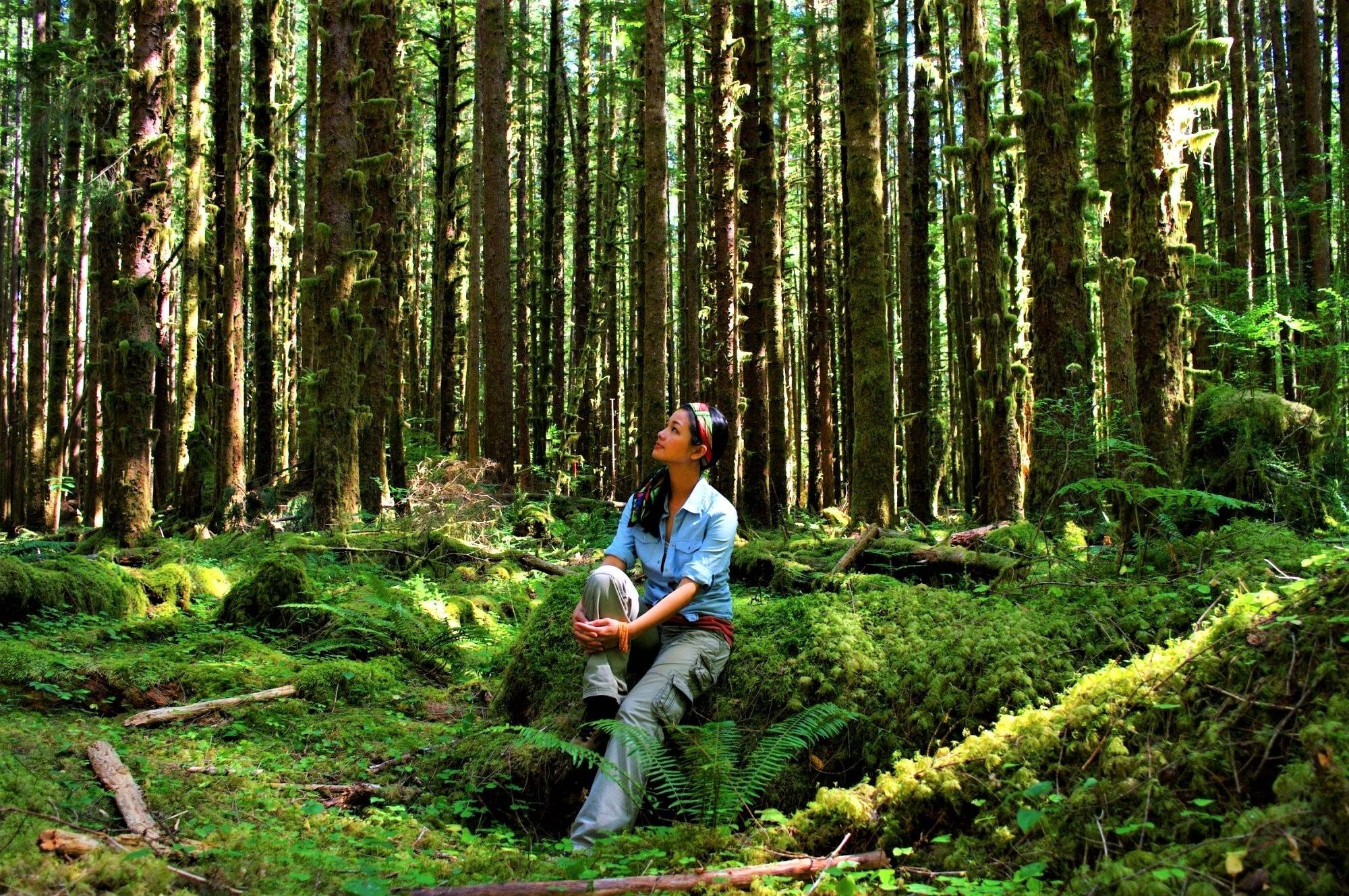 A woman sitting on a moss-covered log in a dense green forest with tall trees surrounding her.