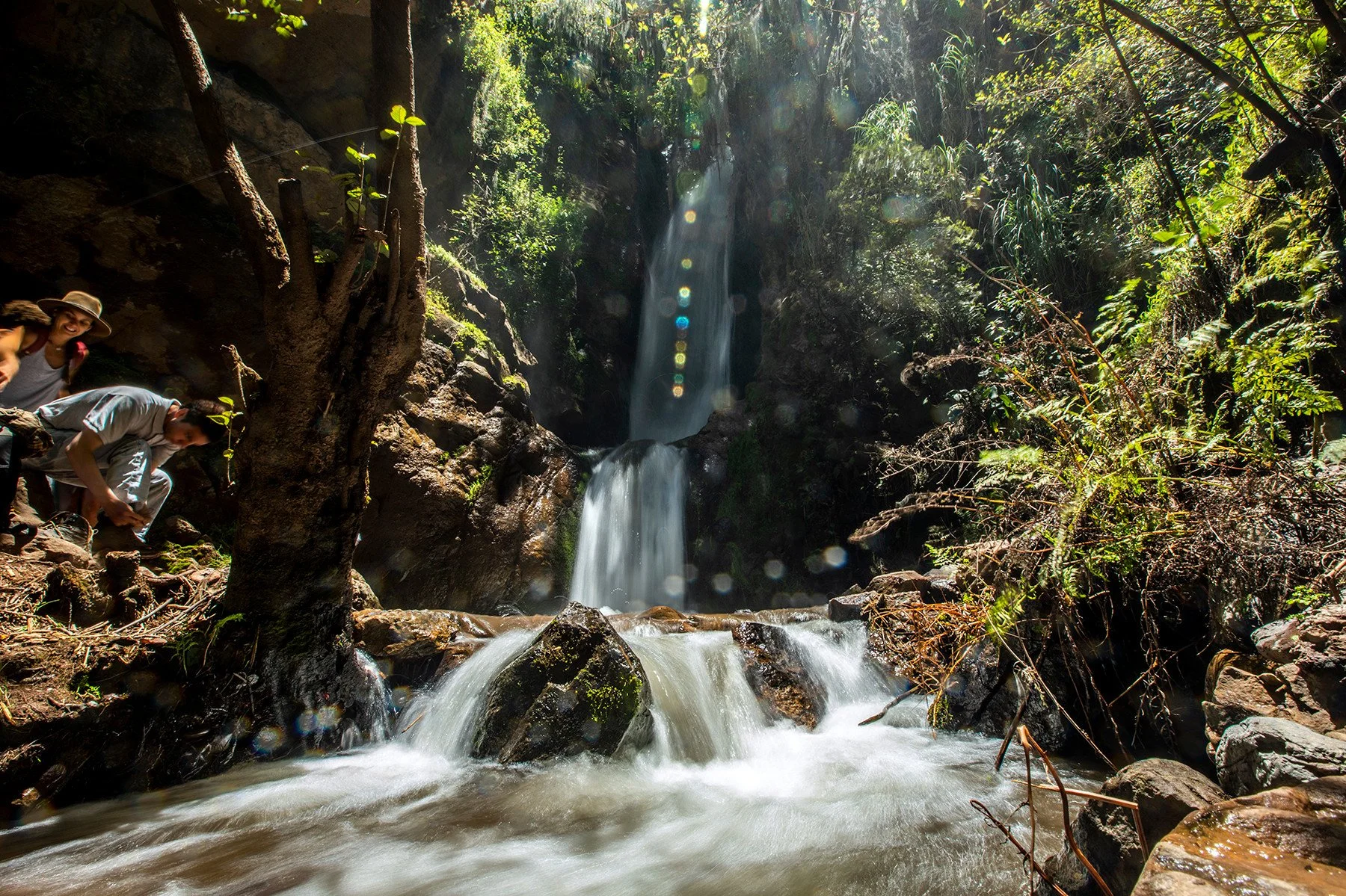 People exploring a waterfall in a lush, green forest with sunlight filtering through trees.