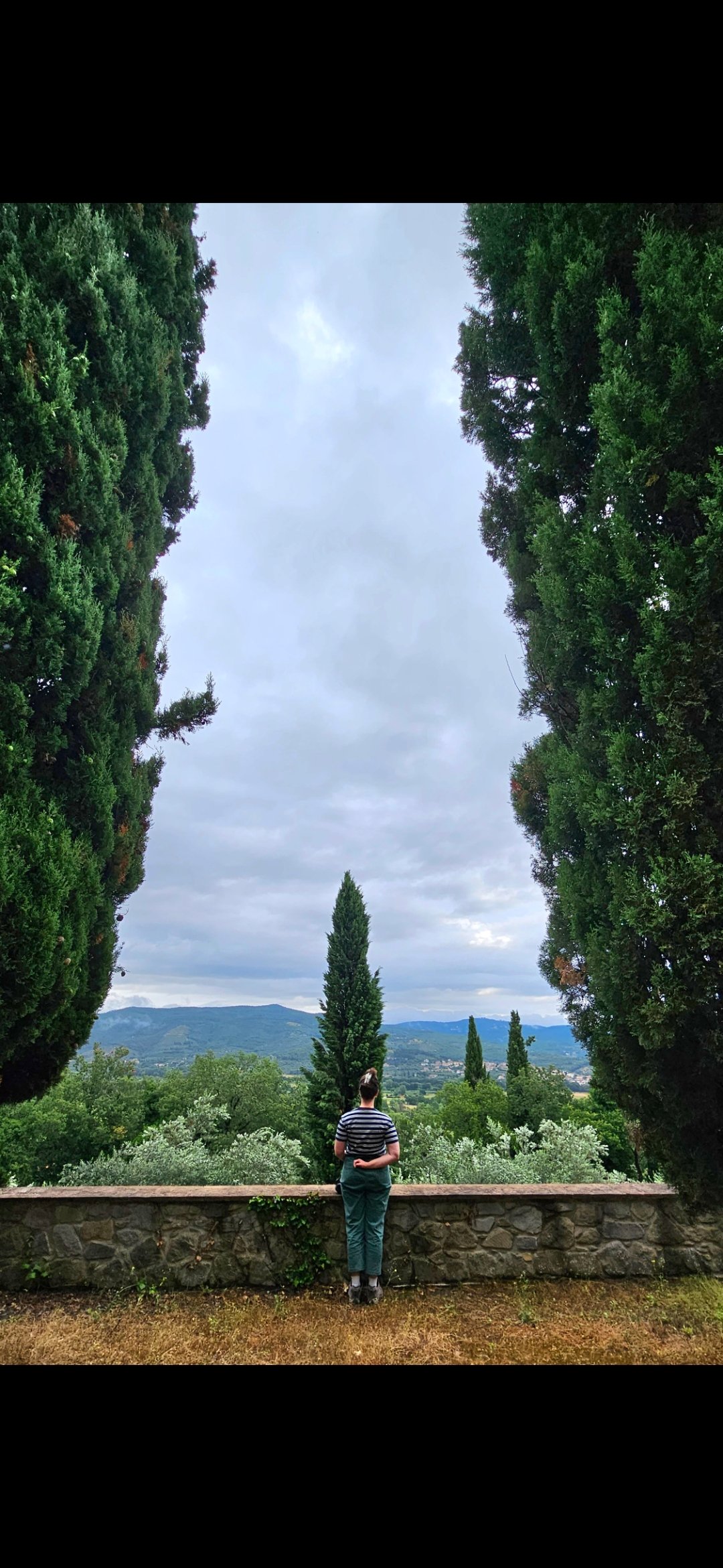 Person standing outdoors overlooking a lush landscape with green trees and distant mountains under a cloudy sky.