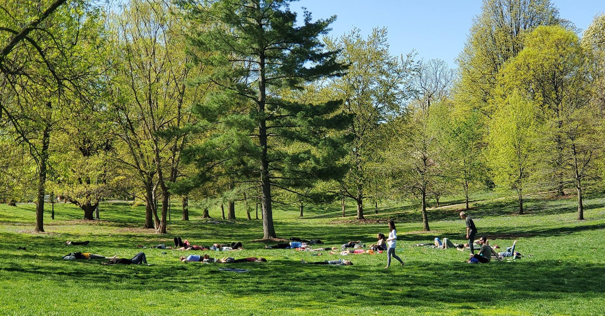 outdoor.jpg