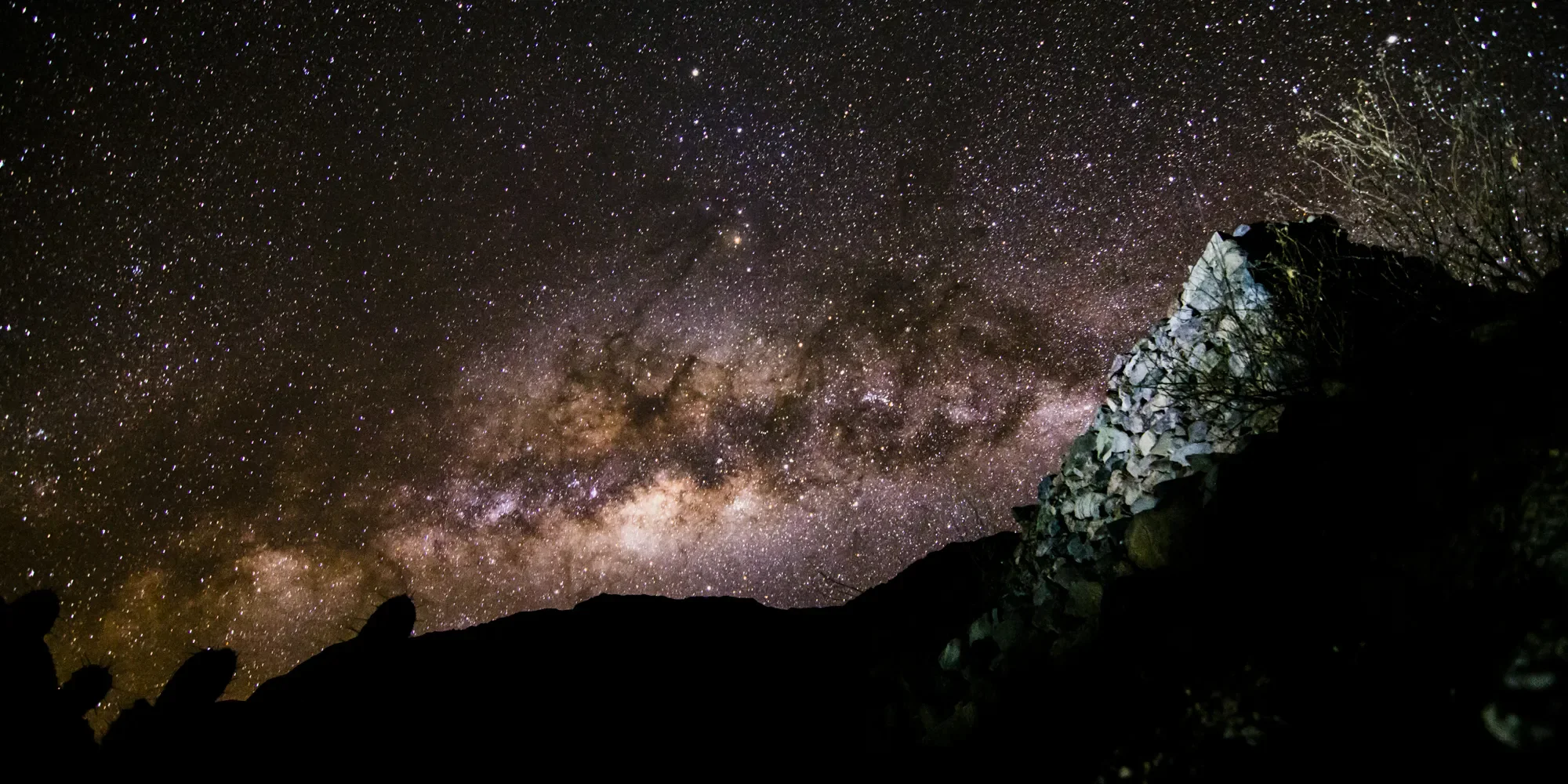 Night sky with a bright, star-filled view of the Milky Way galaxy over a silhouette of rocky terrain and sparse trees.