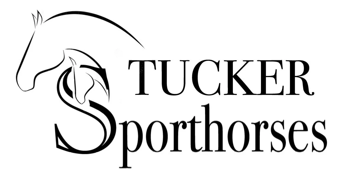 Tucker Sporthorses