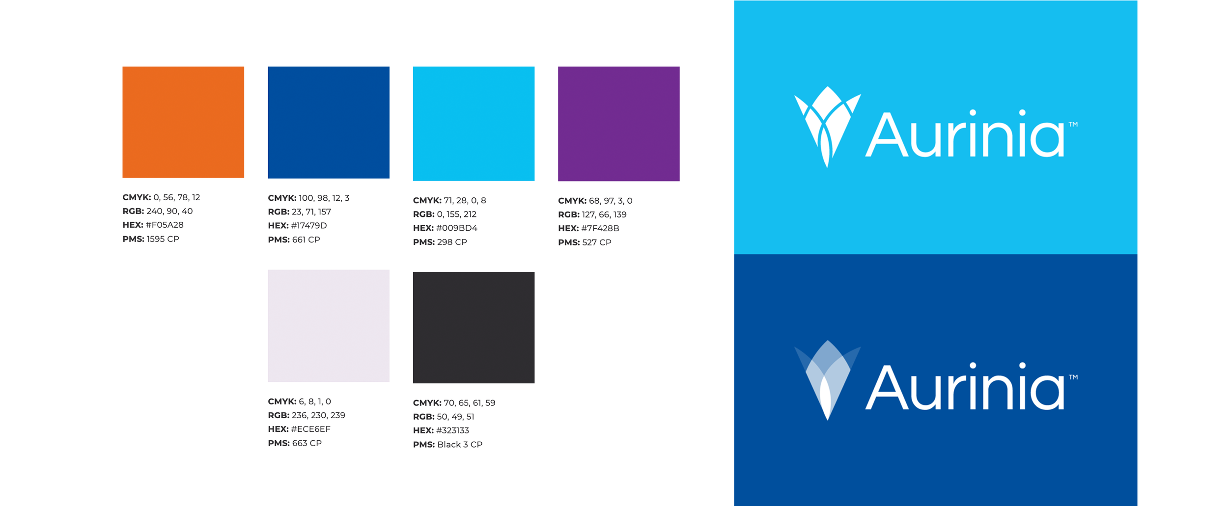 portfolio-image-aurinia5.png