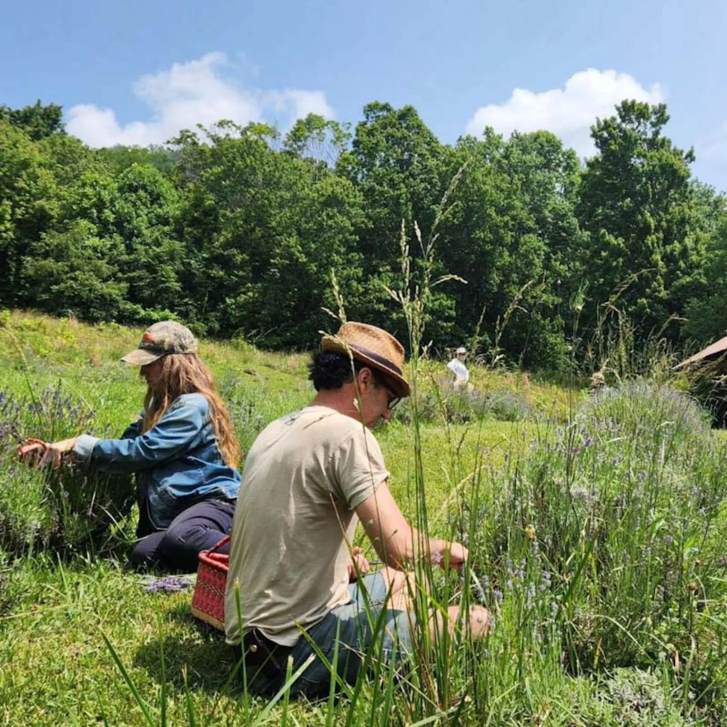 Our health is never static. We are always adapting, learning, developing new capacities for healing while also always facing new challenges. Nature is always in flux, and we are part of nature. Our individual health is inextricably tied to the health