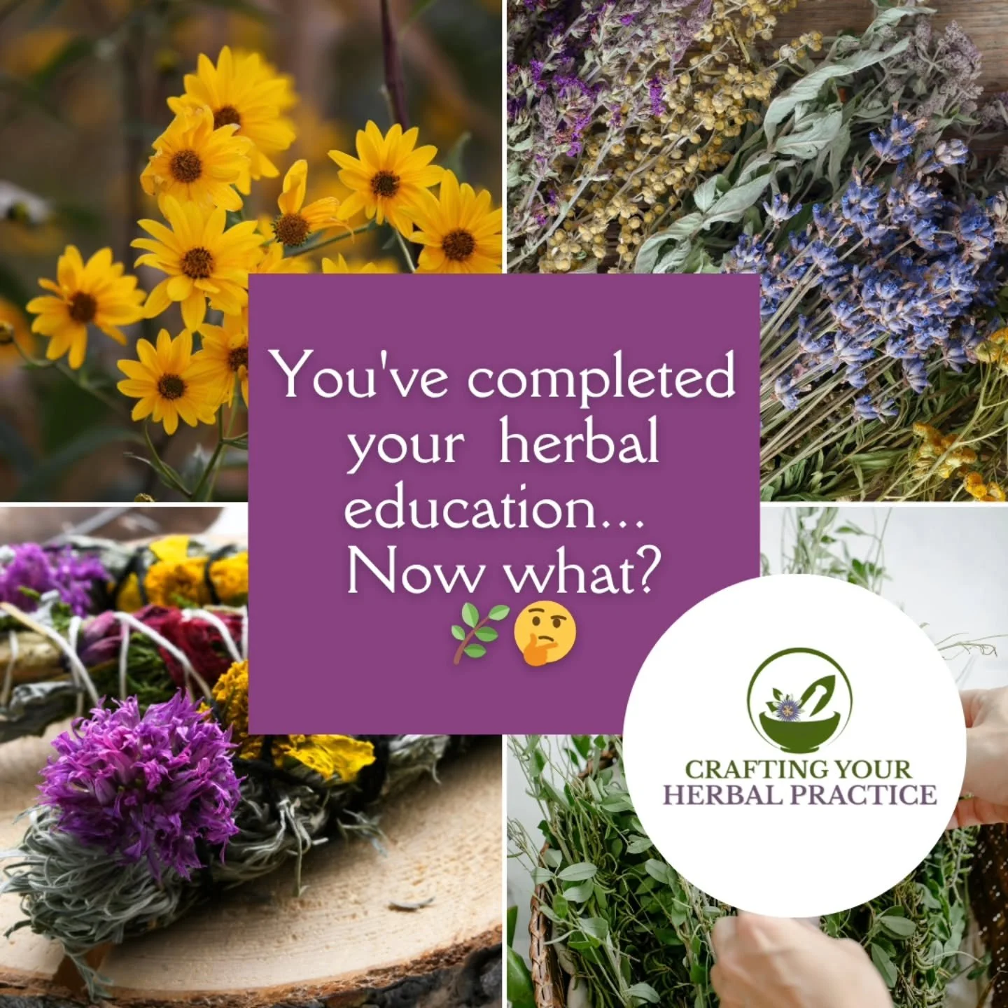 For new herbalists, making the jump from providing community care to opening a professional clinical practice can feel daunting. There are so many skills to acquire beyond the arts of herbal medicine! To make this transition, you need clarity about y