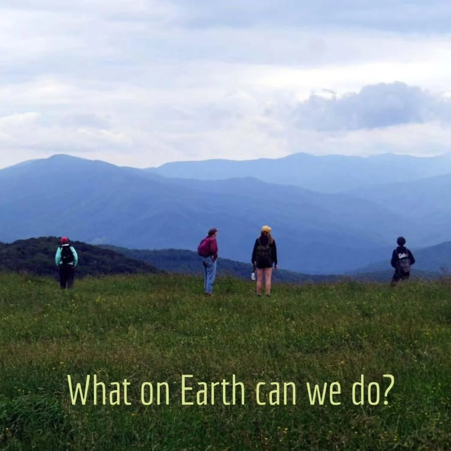 - WHAT ON EARTH CAN WE DO? - 
🌾
Terra Sylva School of Botanical Medicine emerged in response to the ongoing crisis we inhabit. We (Jen, Janet, and Dave) each found solace and purpose in the plants, and wanted to share that medicine with others. Whil