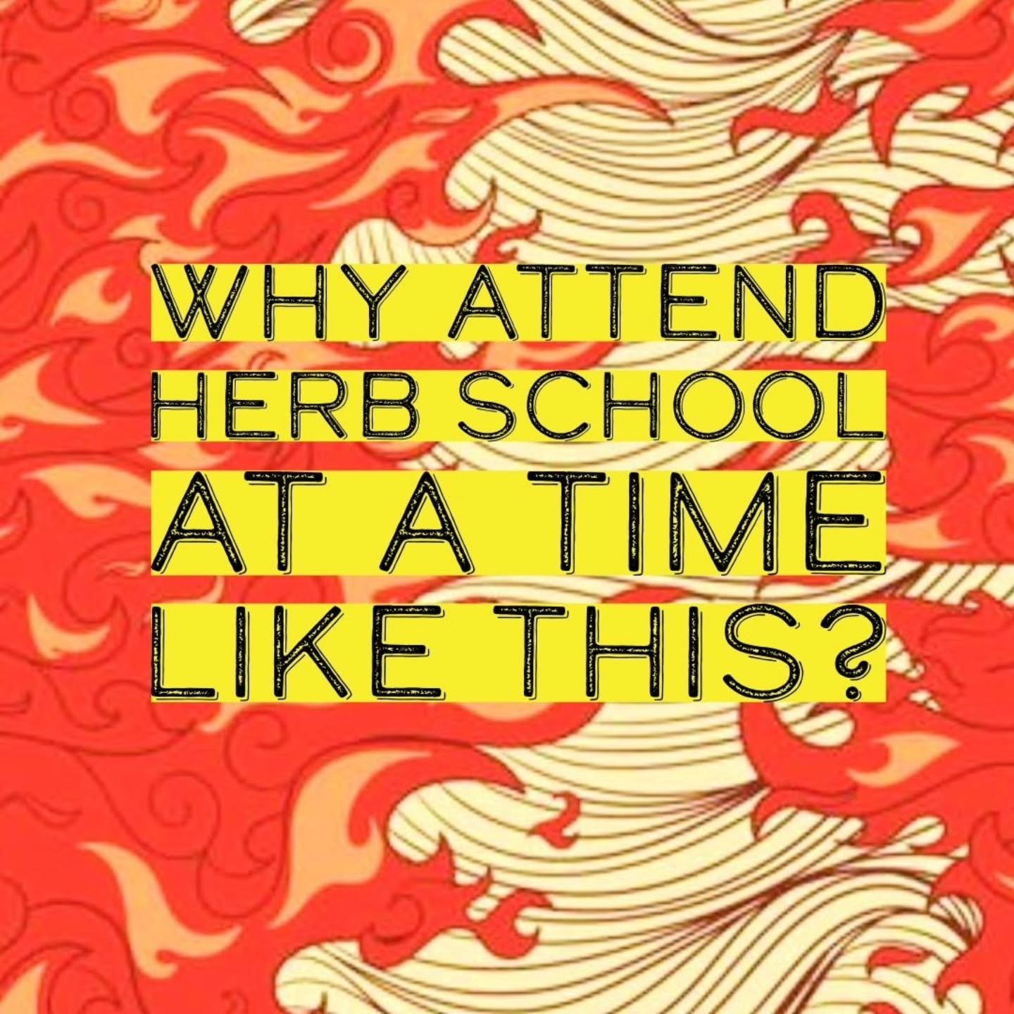 Terra Sylva School of Botanical Medicine emerged in response to the ongoing crisis we&nbsp; inhabit. We (Jen, Janet, and Dave) each found solace and purpose in the plants, and wanted to share that medicine with others. While each of us has our story 