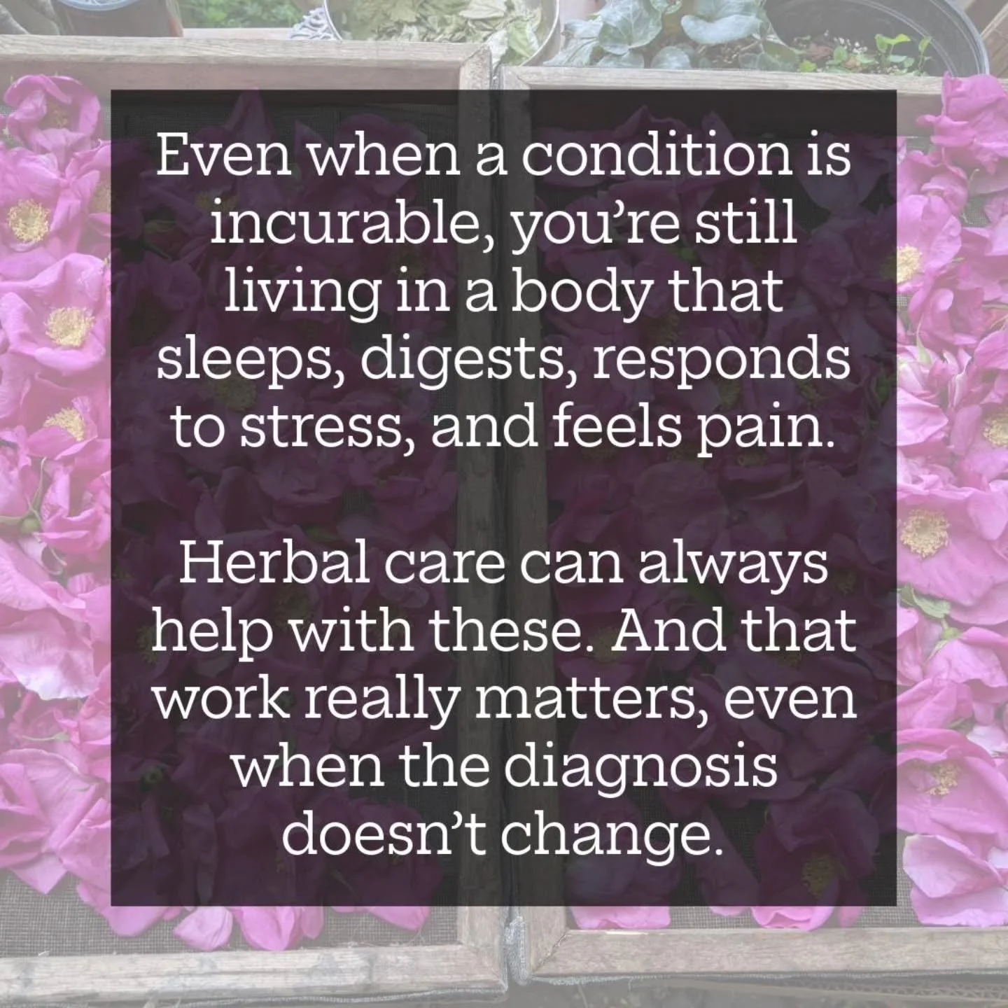 When some people hear the phrase "chronic illness," they think of something that's either begging for a cure or must be passively endured. But that's a false binary that doesn't reflect how bodies actually work, or how people actually live.