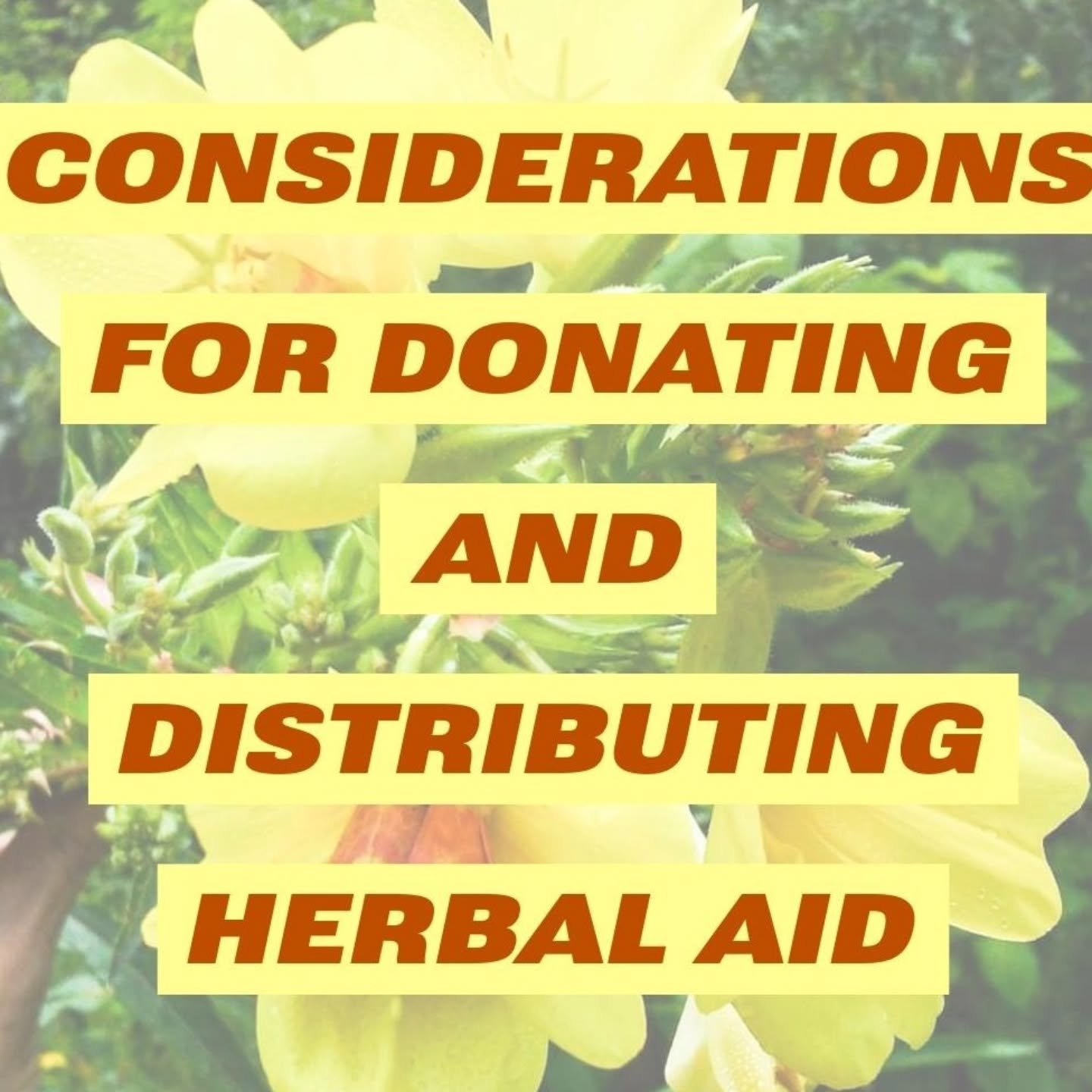 🕸️ CONSIDERATION FOR DONATING &amp; DISTRIBUTING HERBAL AID 🕸️
🕸️
We condensed our list of considerations to make more accessible shareable slides, though we still recommend that you read the fuller text saved in our highlights. 
🕸️
We are gratef
