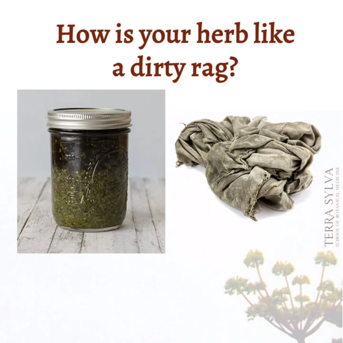 Think about it. 🤔😂
This is a slide from my percolation class, the part where I explain why percolations can yield a more complete extraction than macerations. An odd analogy, perhaps, but people keep telling me that it really helped them get it. Ca