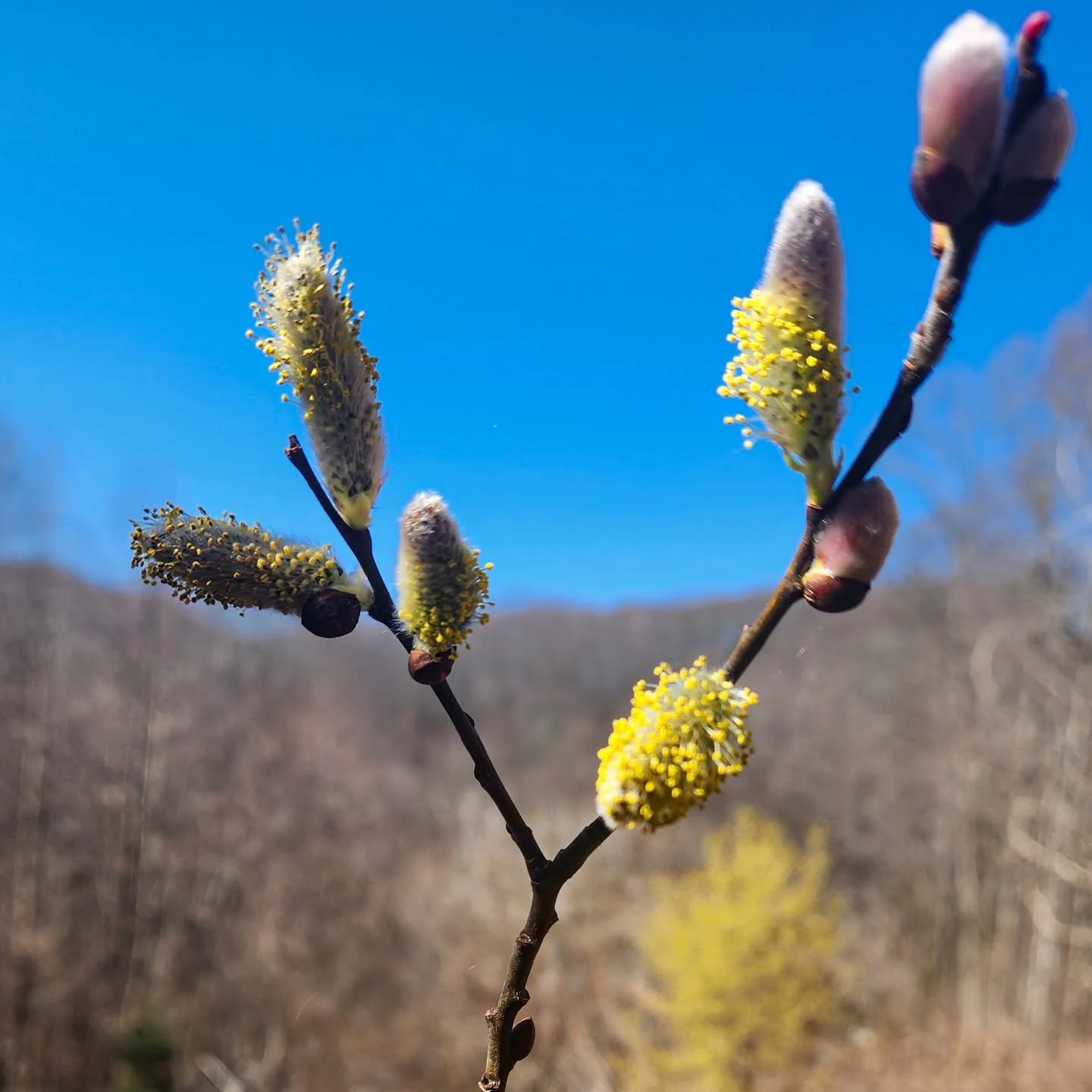 - - - SIGNS of LIFE - - - 

Back from an unplanned but much needed break from this part of the world. In the meantime, our two cohort programs have begun, our self-paced course is ongoing, and we we continue to mentor and make new curriculum for our 