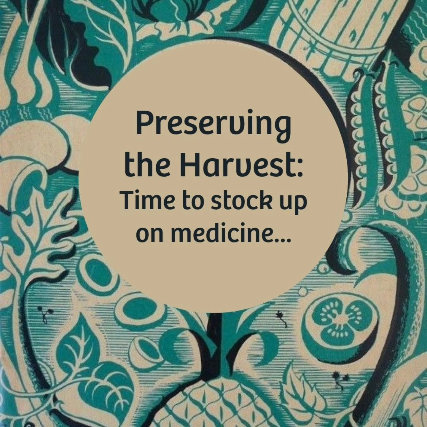 Now and for the foreseeable future, we would all do well to harvest and preserve extra herbal medicine and medicinal foods.&nbsp;
🌱
No&mdash;foraging, gardening, and medicine making will not get us out of the collective mess we are in, but it will h