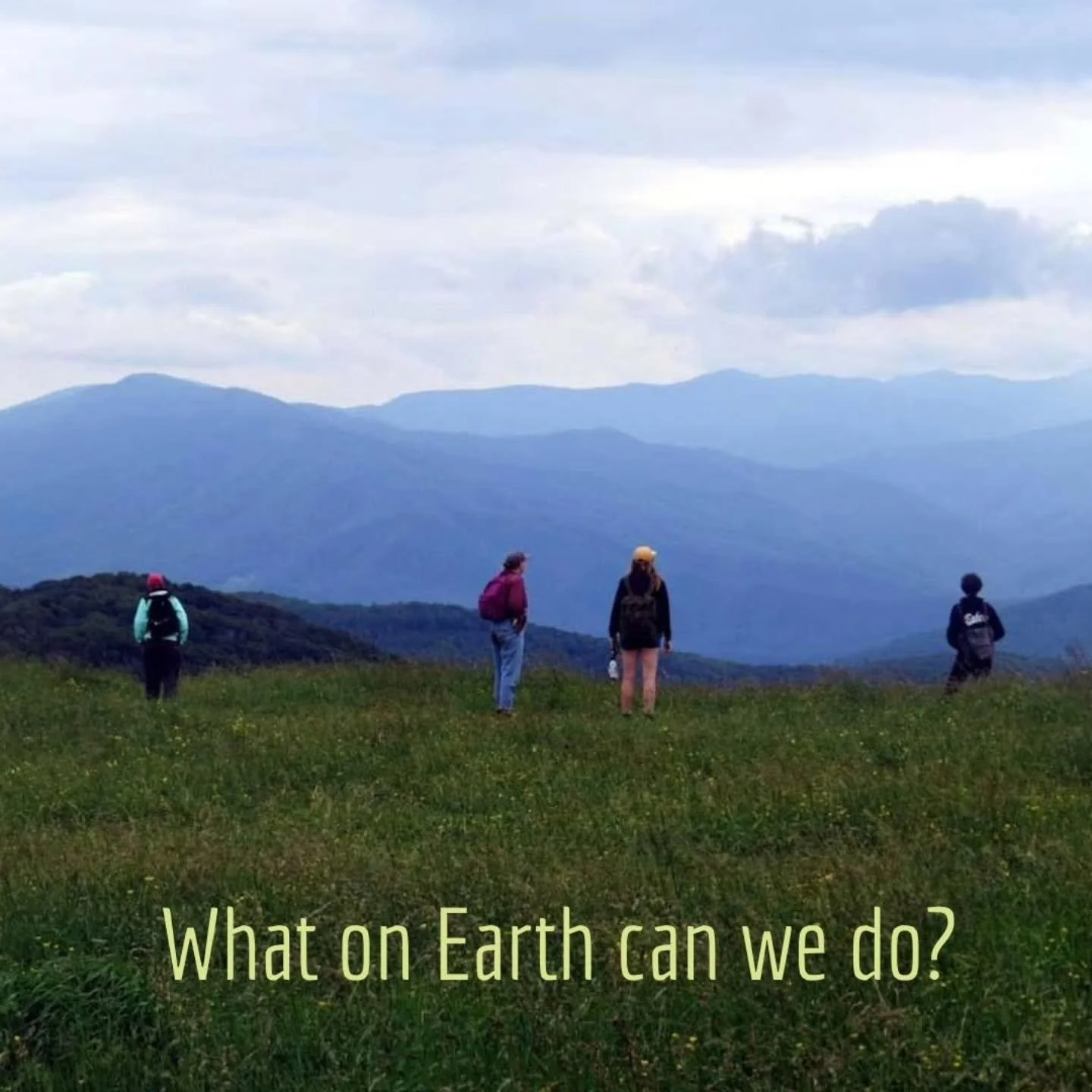 ACTION IS THE ANTIDOTE TO DESPAIR

Today I learned that Joan Baez is the author of that increasingly timely quote. I have used it frequently in the past few years, to friends and family, to fellow organizers, to students, and to clients. When at a lo