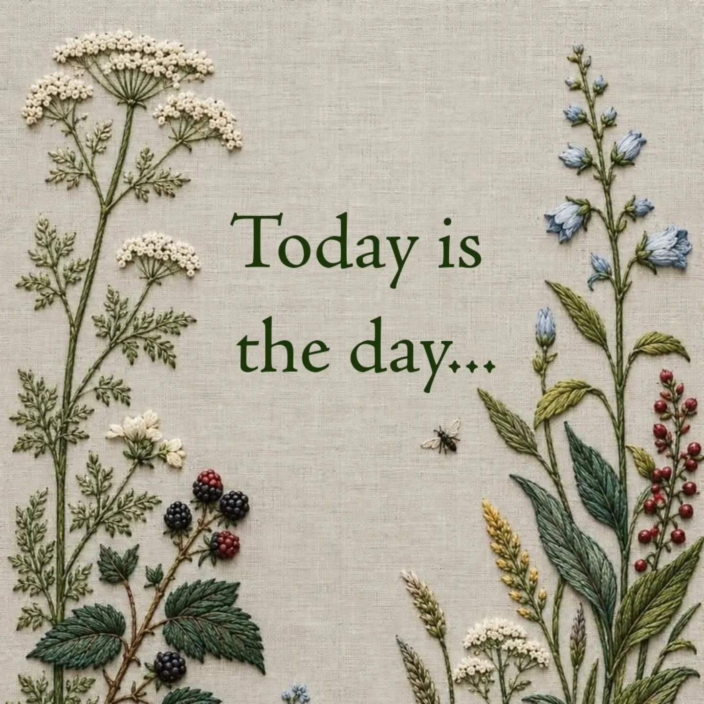 Terra Sylva School of Botanical Medicine emerged in response to the ongoing crisis we&nbsp; inhabit. We (Jen, Janet, and Dave) each found solace and purpose in the plants, and wanted to share that medicine with others. While each of us has our story 