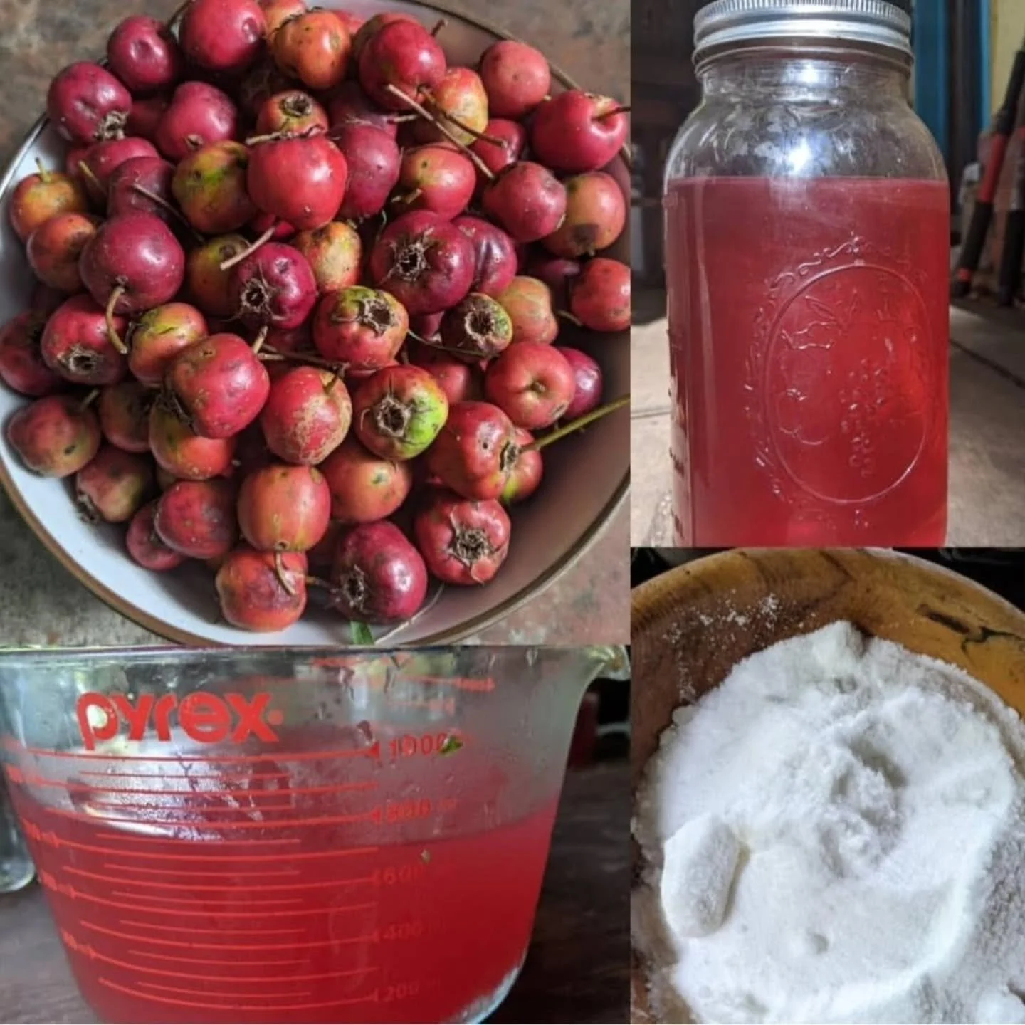 🍎 SHELF STABLE HAWTHORN SYRUP 🍎 

There is a simple rule for preserving herbal syrups with refined white sugar. You start with whatever liquid you want to preserve. Often this will be a reduced decoction (as with these Hawthorns), but it can also b