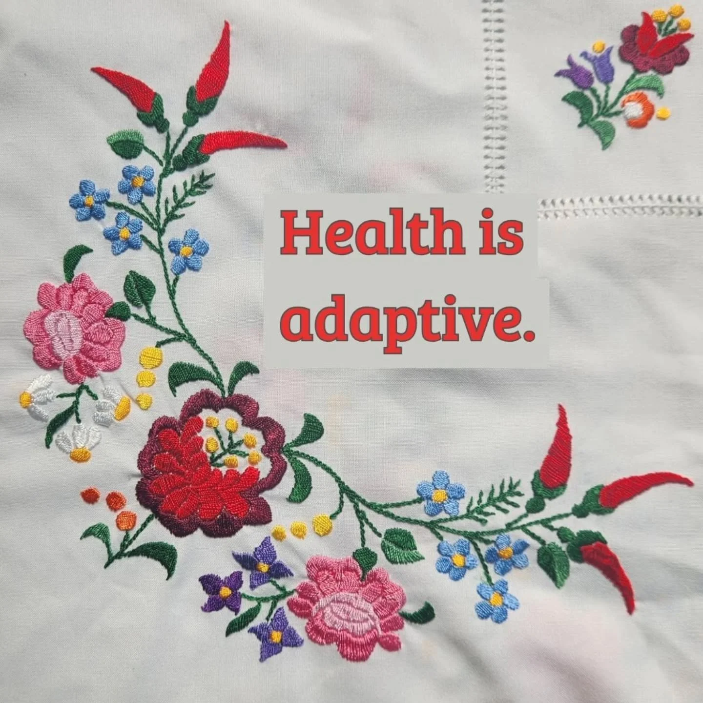 Our health is never static. We are always adapting, learning, and developing new capacities for healing while also always facing new challenges. Nature is always in flux, and we are part of nature.&nbsp;

Our individual health is inextricably tied to
