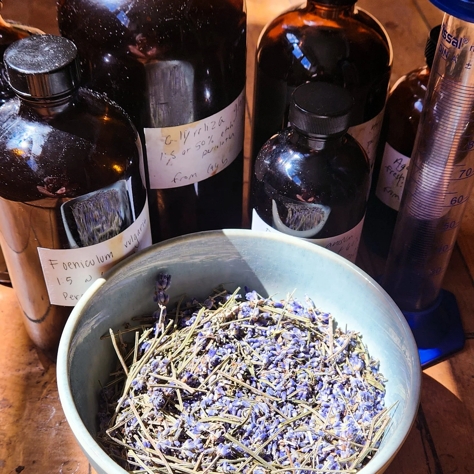 Mastering Herbal Formulation